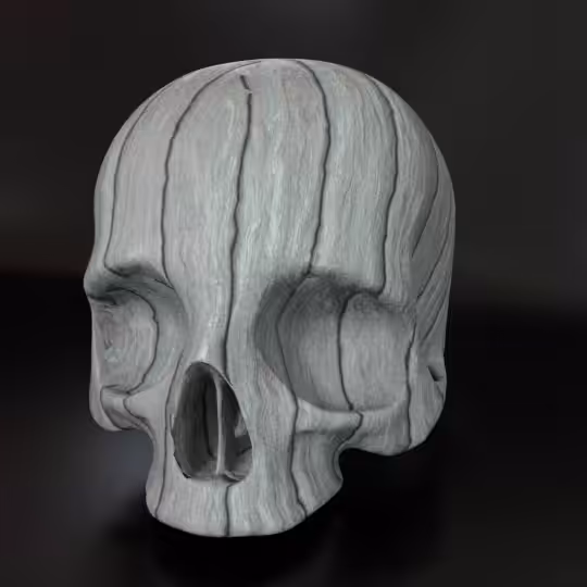 SkullZ #61