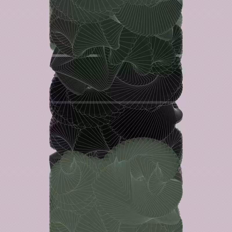 Braids/burdens #1