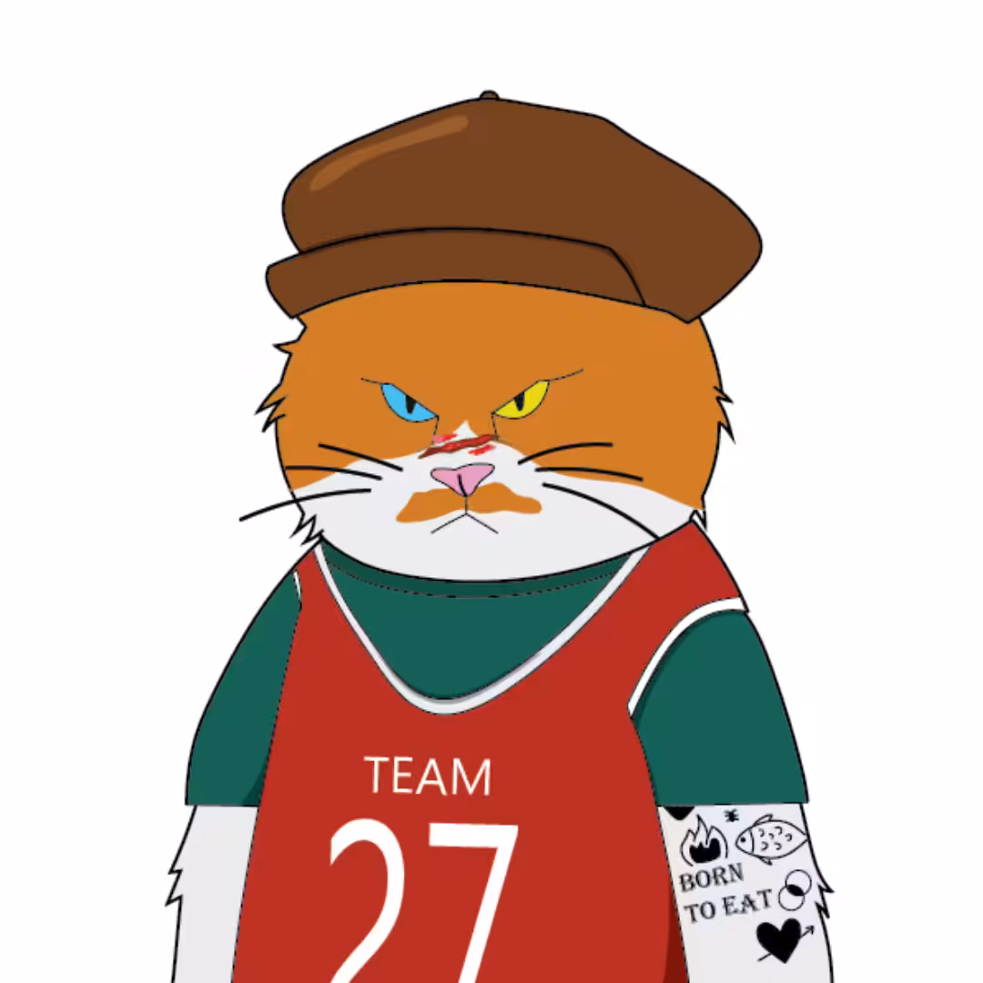 Basketball Player: MAD Stray Cat