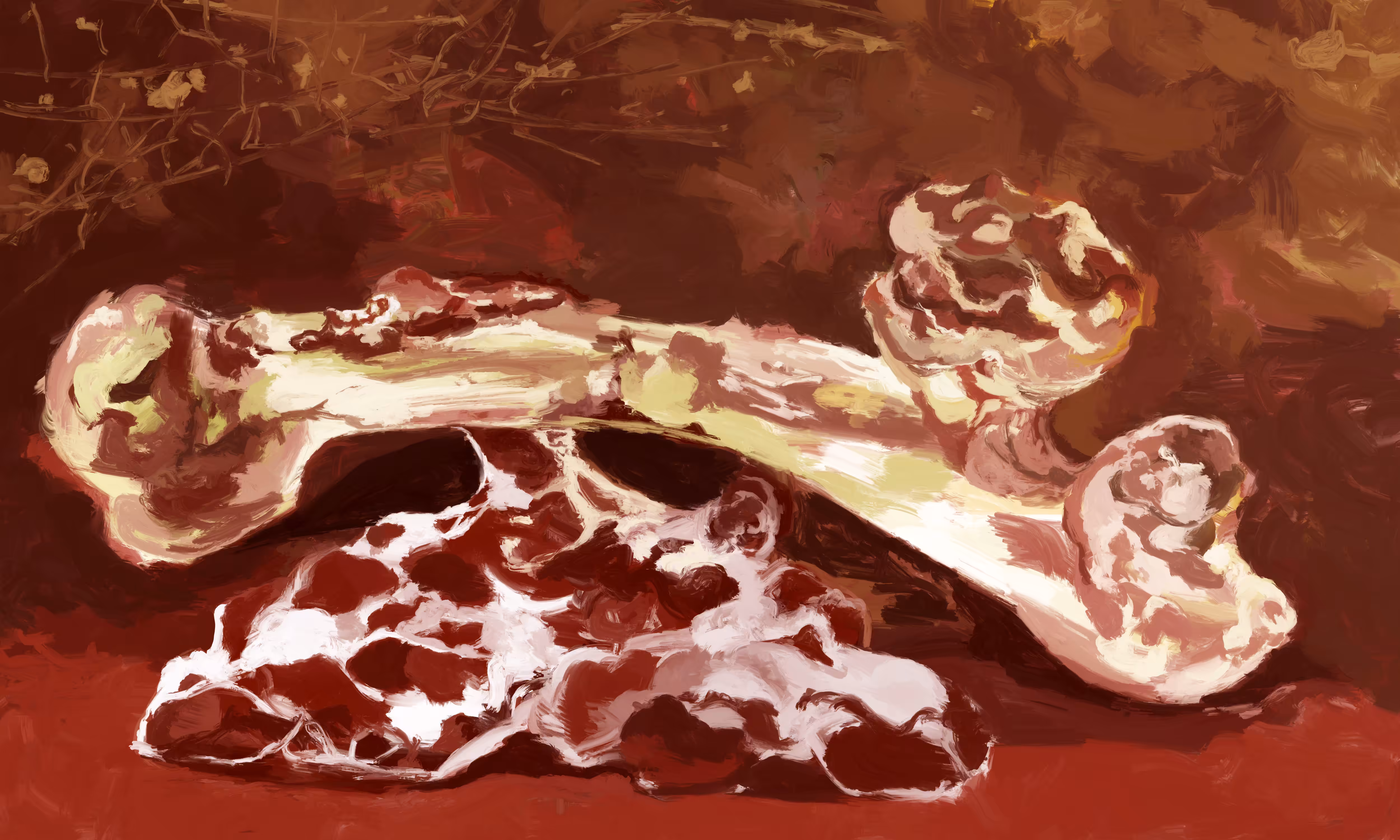 Bone and Meat