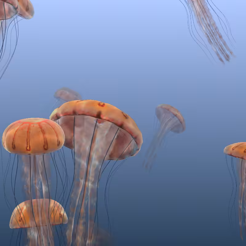 Jellyfish #1