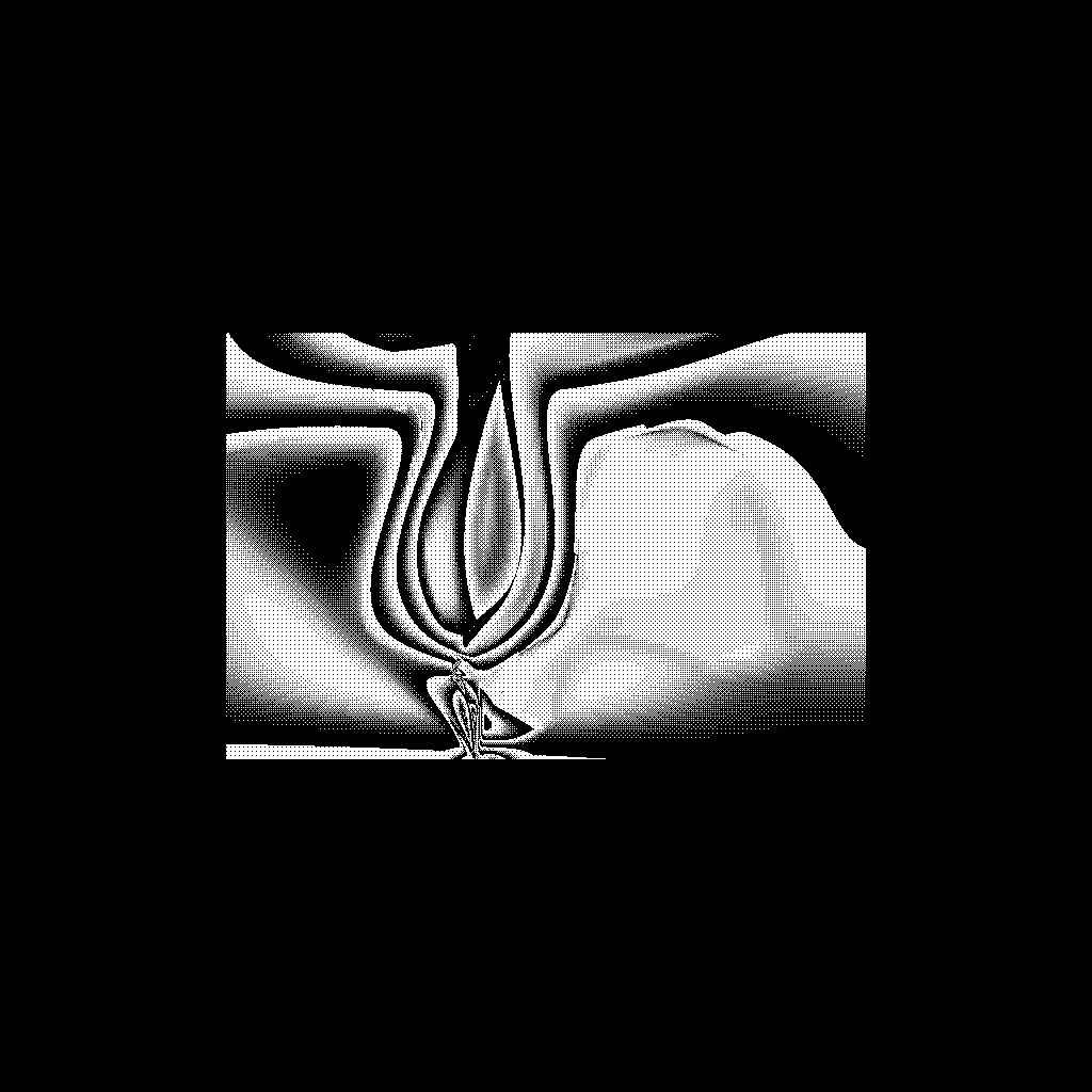 What Draws Us #2