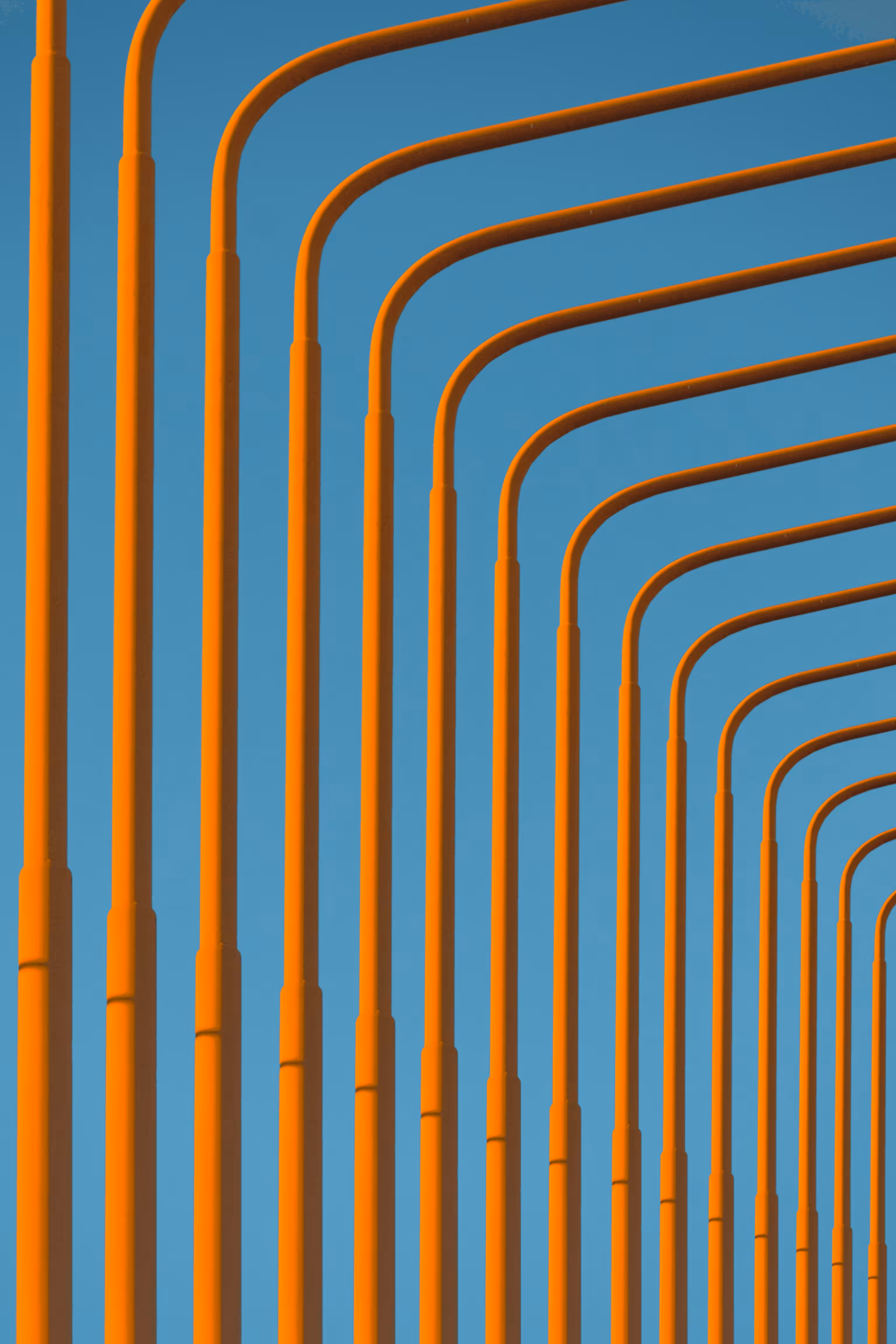 Of Light Poles #8