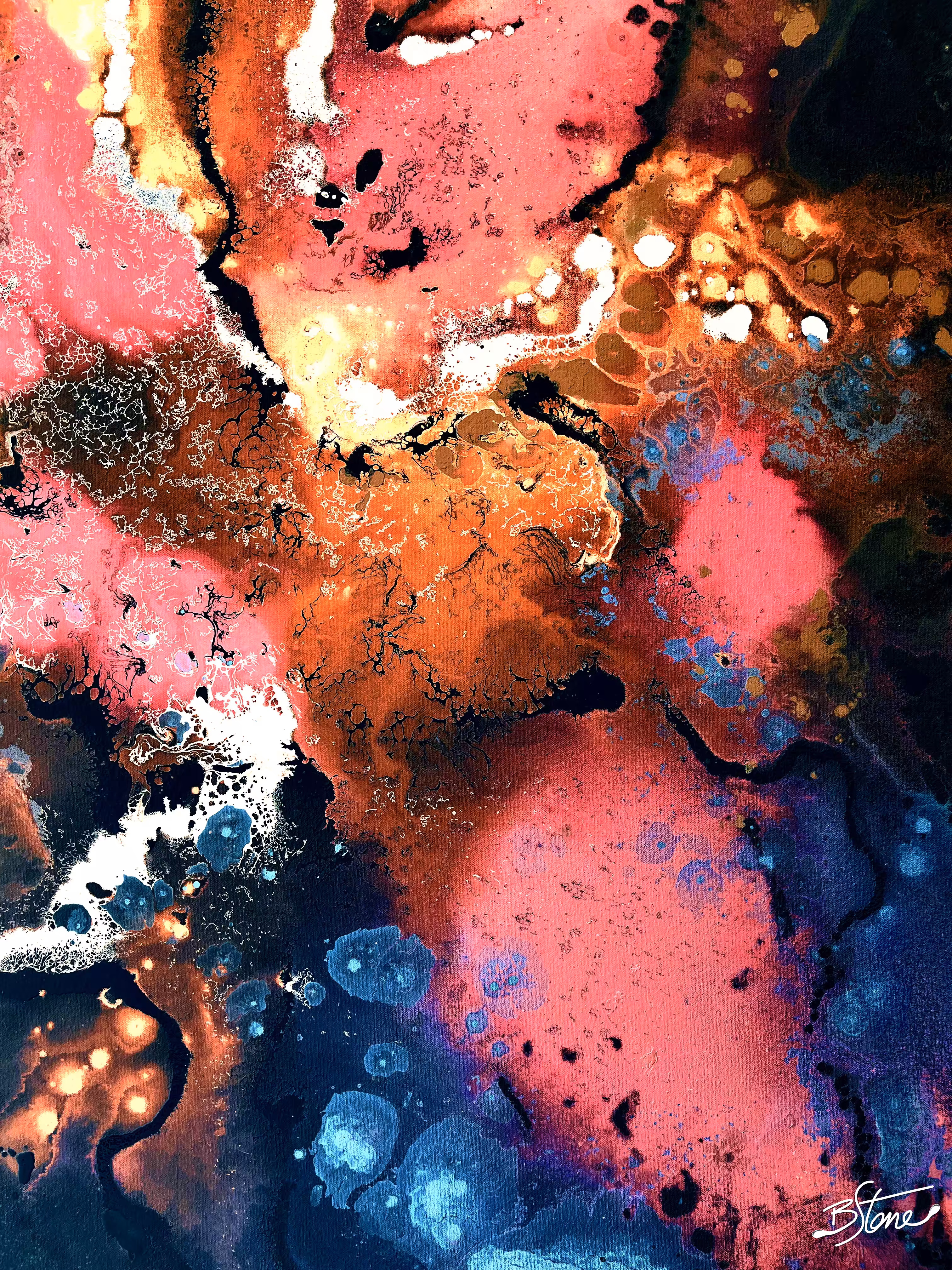 Rainbow Reef