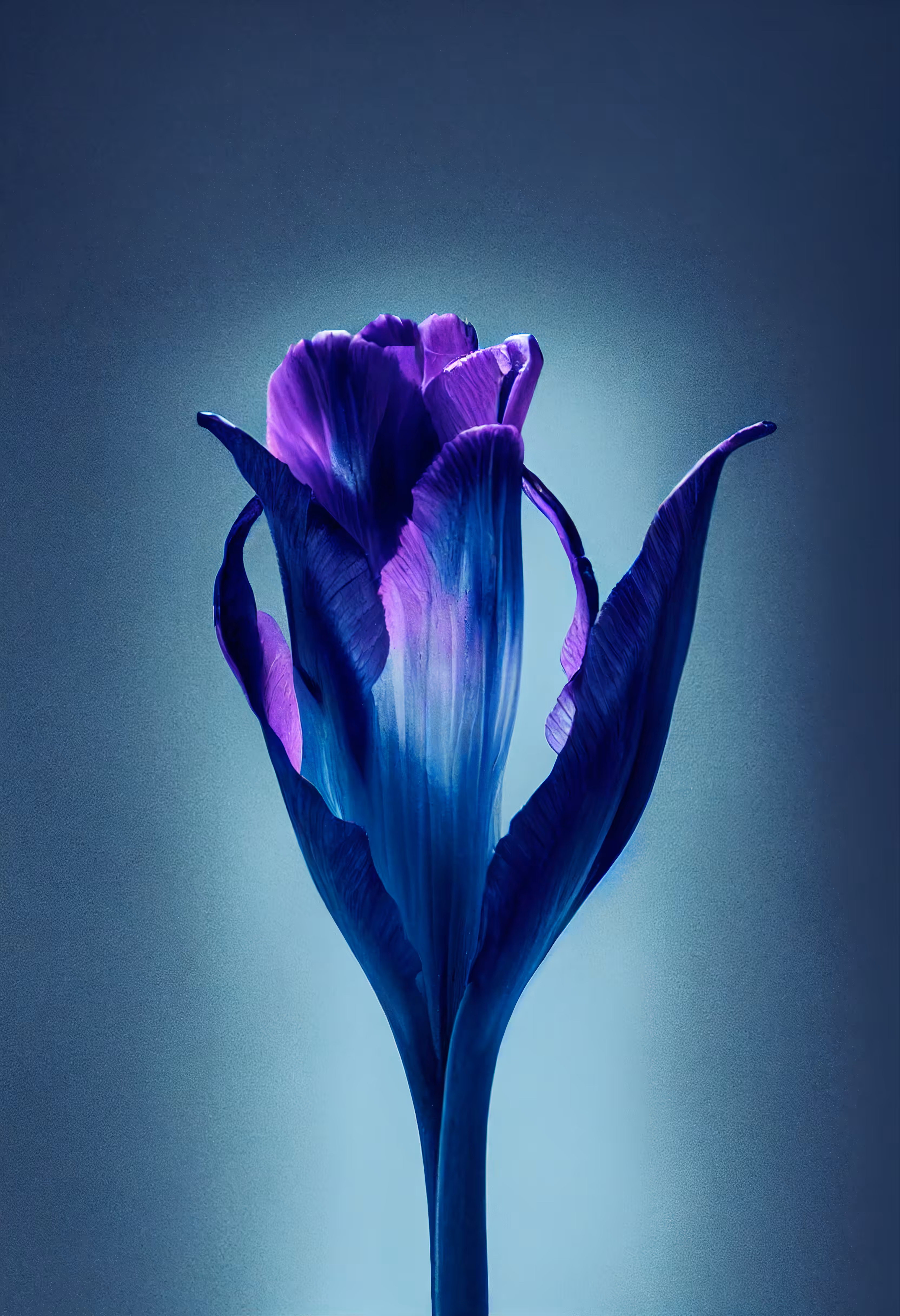 A Flower, Just For You. #86