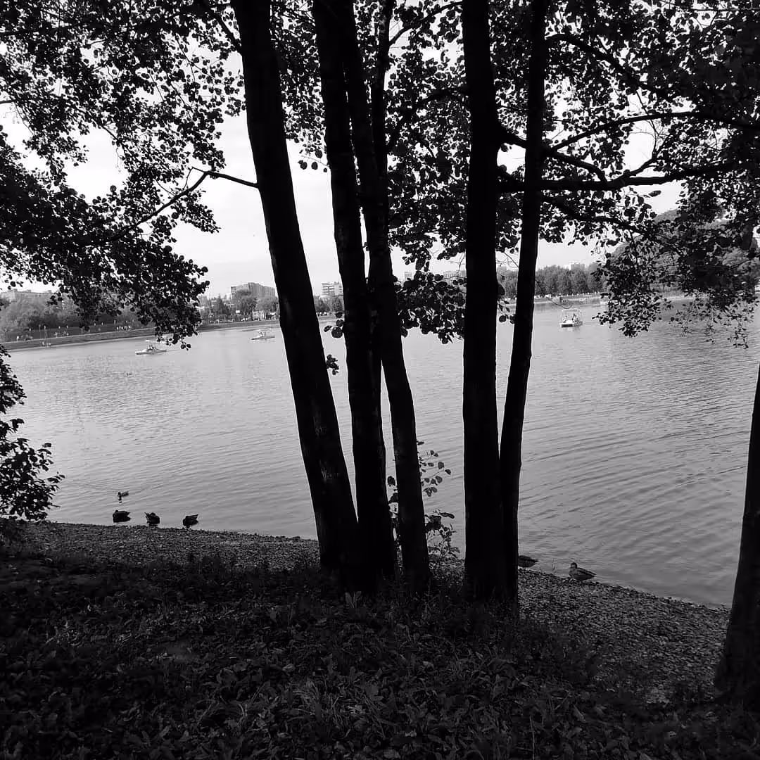 The park is our salvation