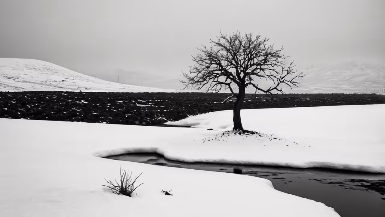 The Happy Valley: The loneliest