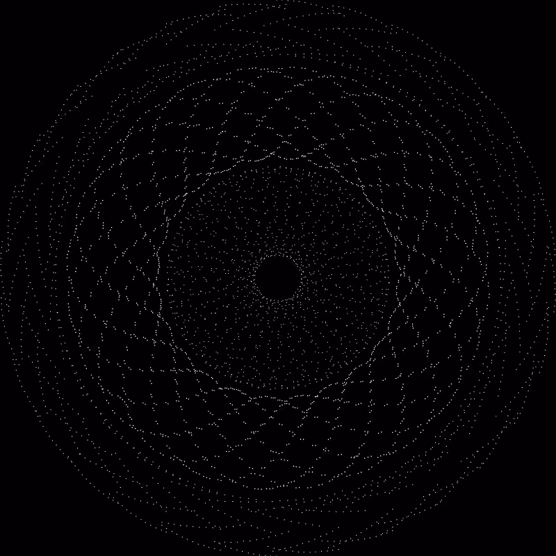 The Orbits #47