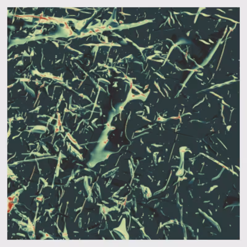 Dynamical System #13