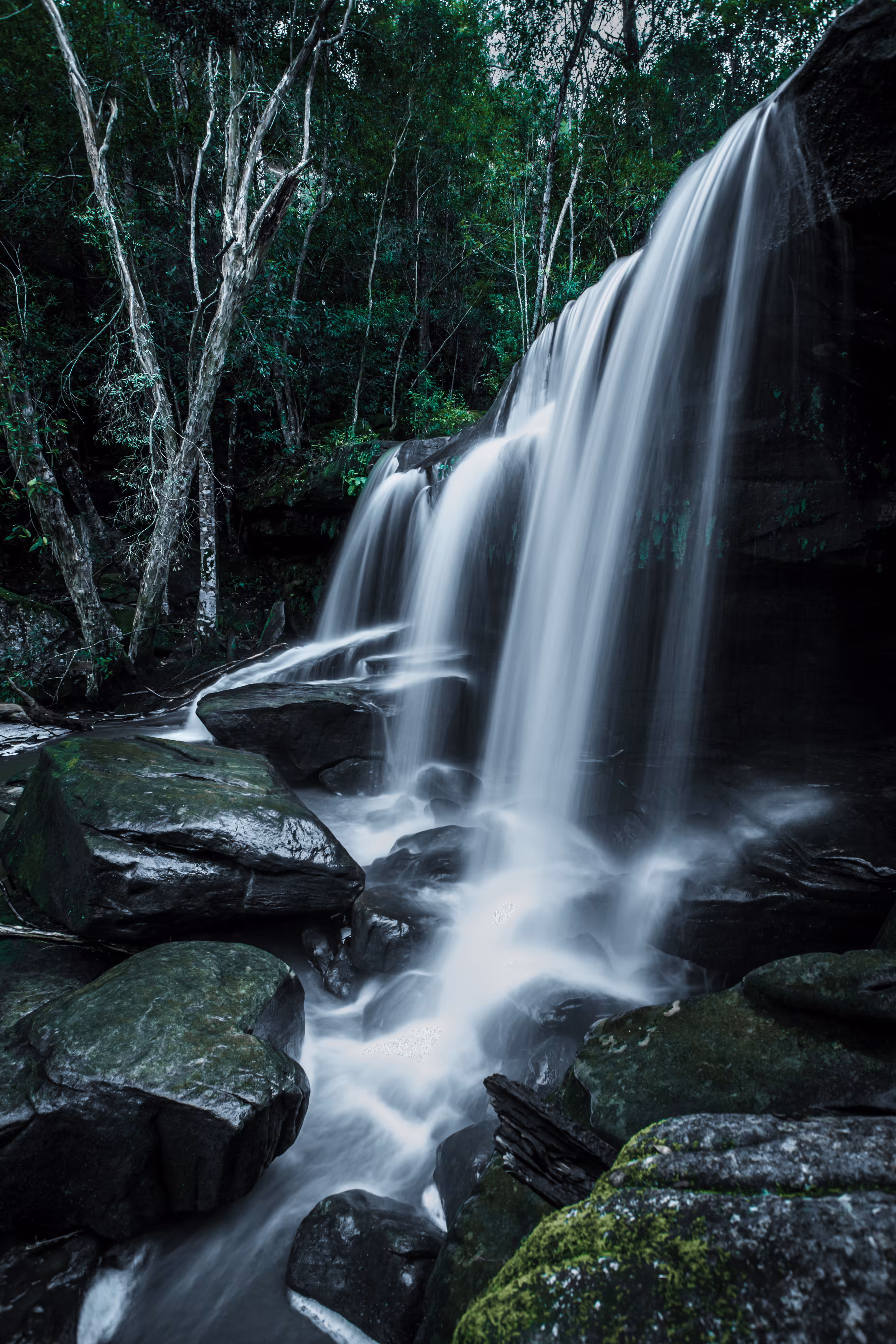 #66 - Middle Somersby Falls
