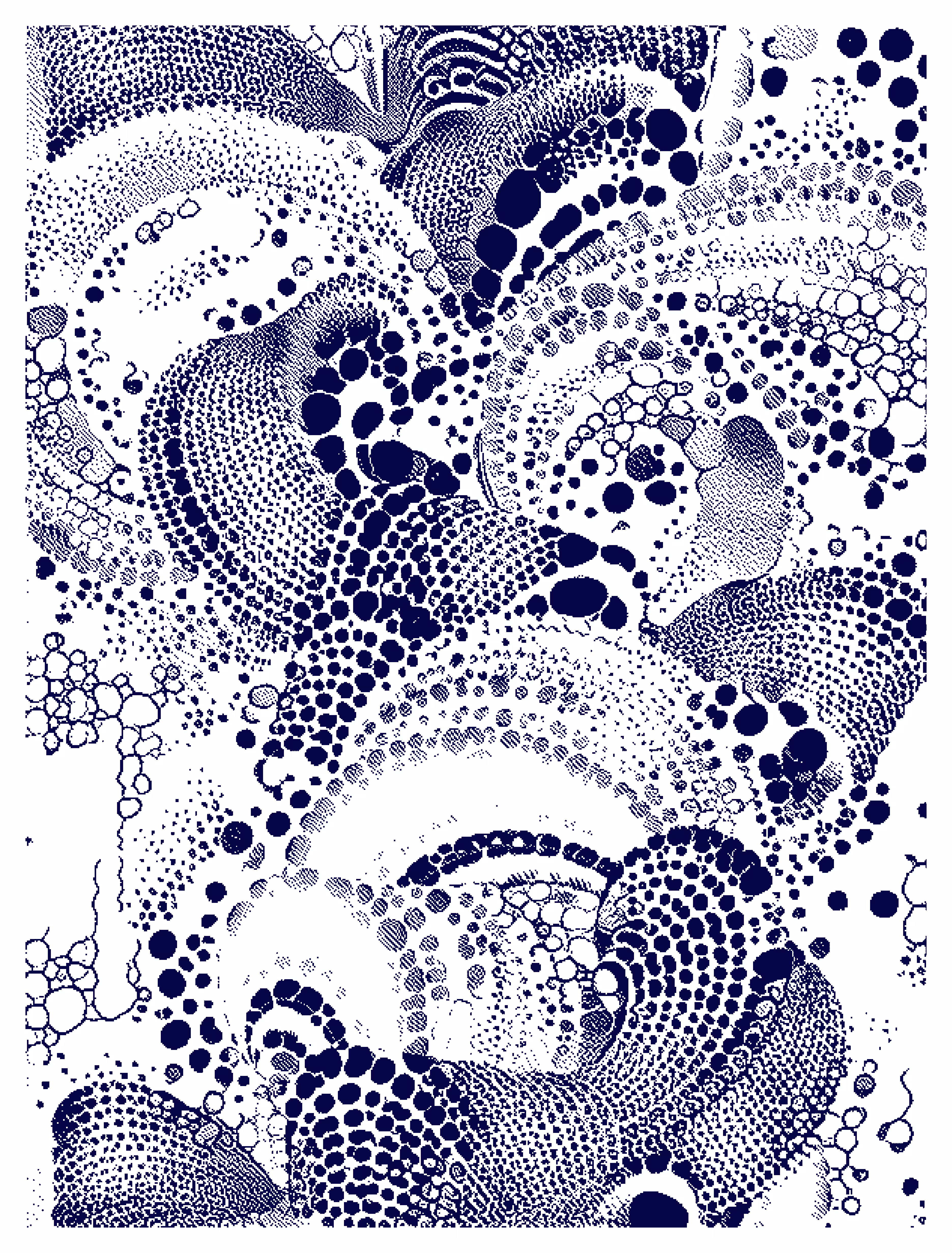 ORB_V