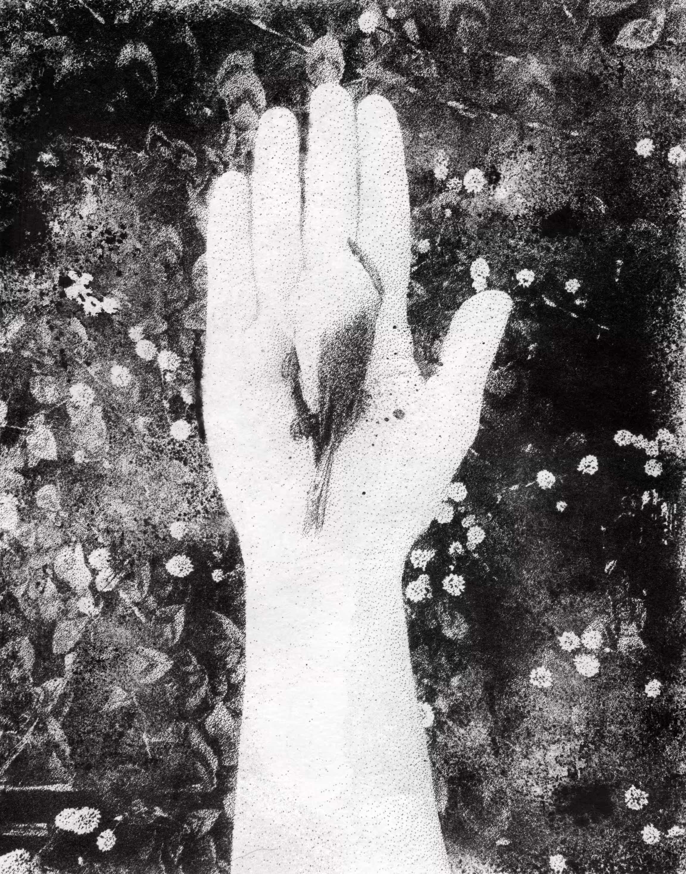 Metamorphosis I