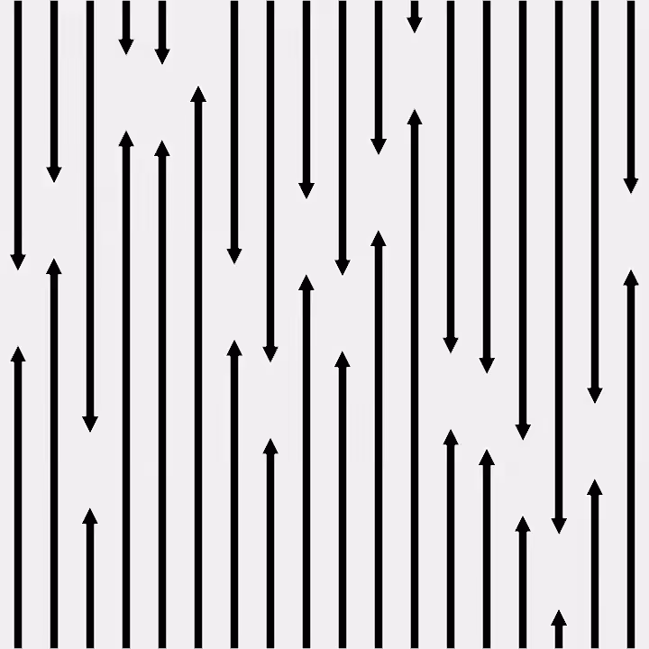 DoodleDeProgramming_20240306