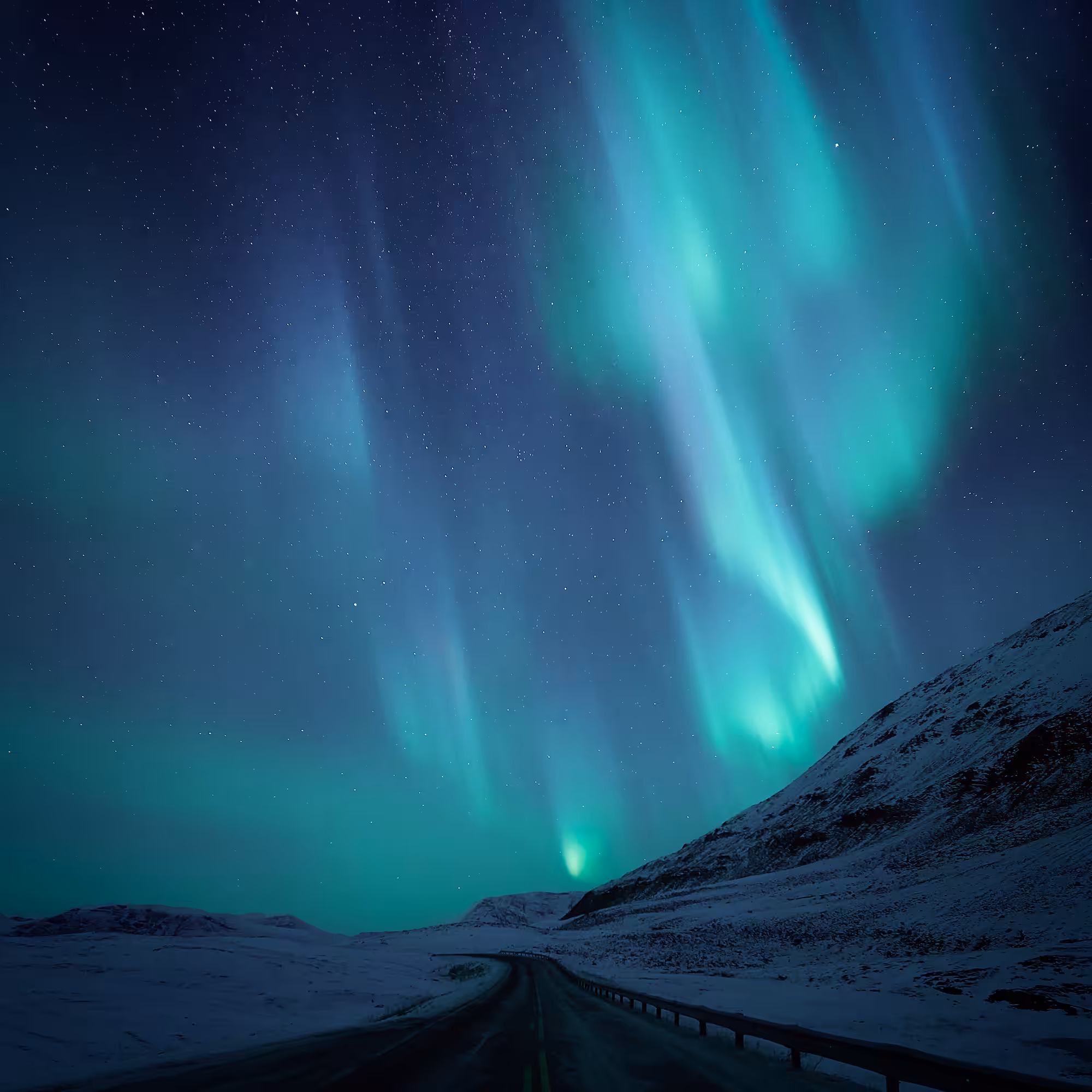 Arctic Wonders #1