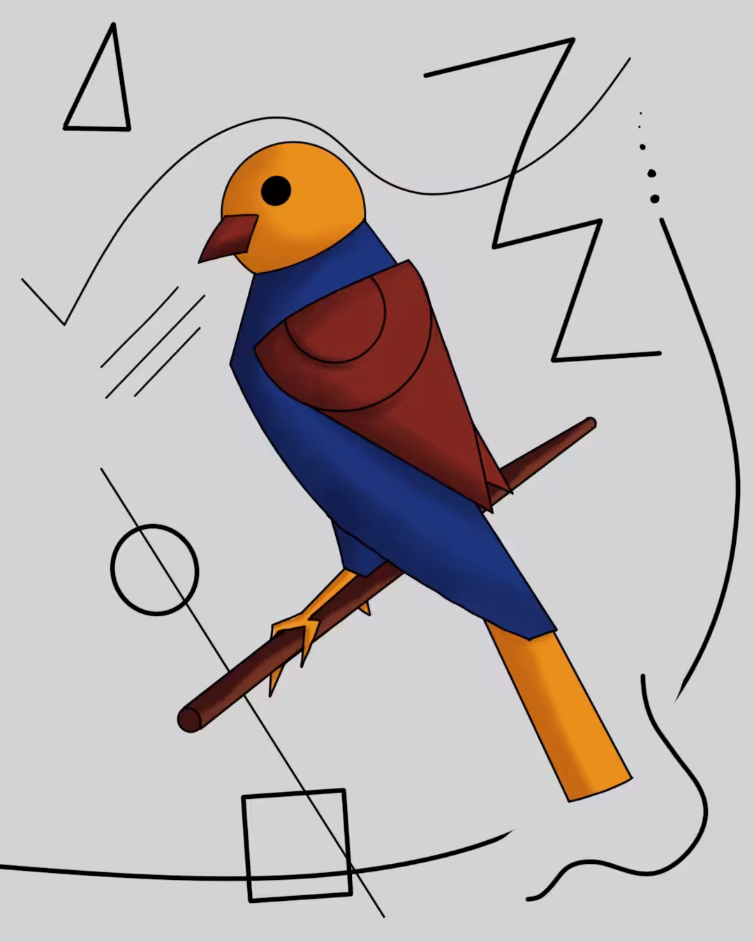 Shapes Of Bird