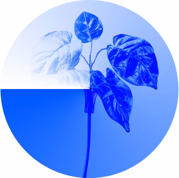 plant-based #70