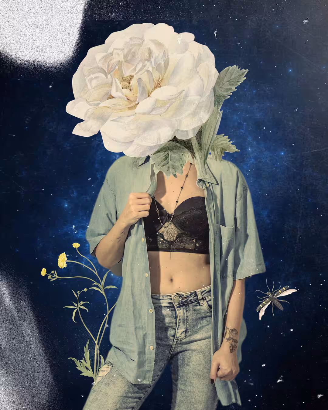 Lady of the Night