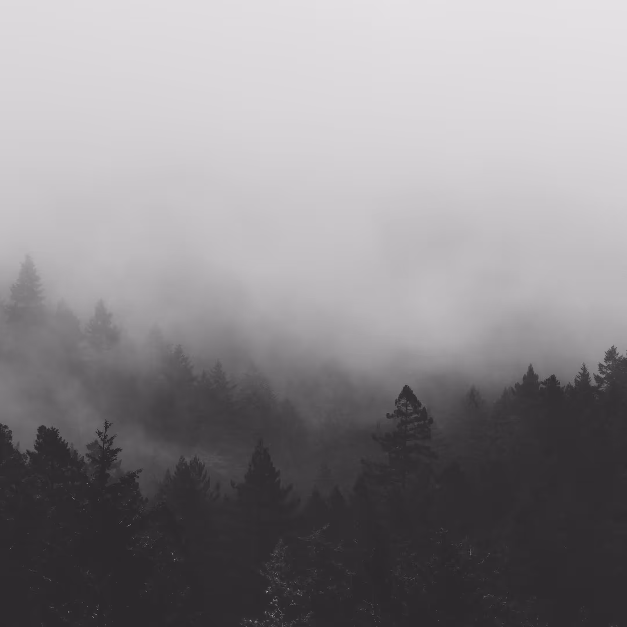 gloom