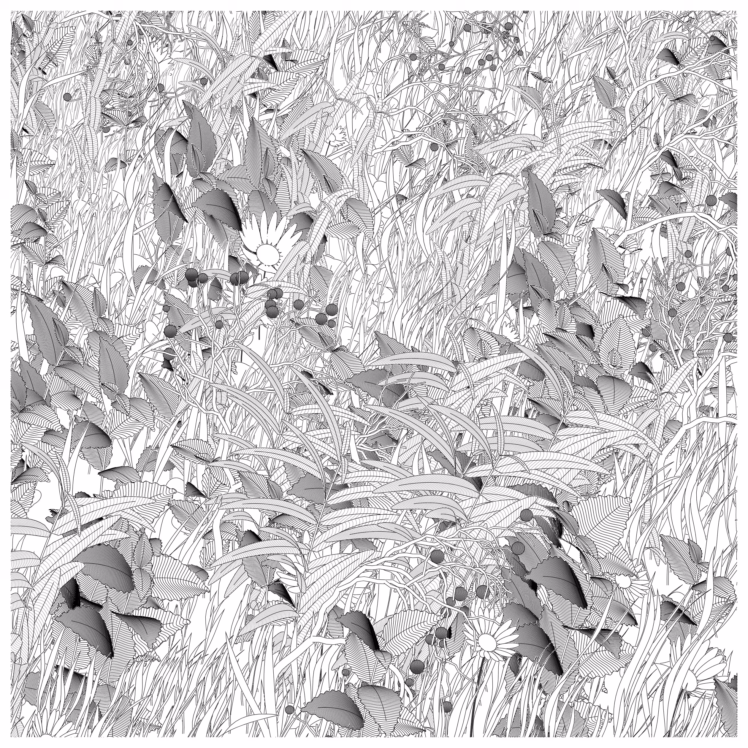 Garden, Monoliths #55