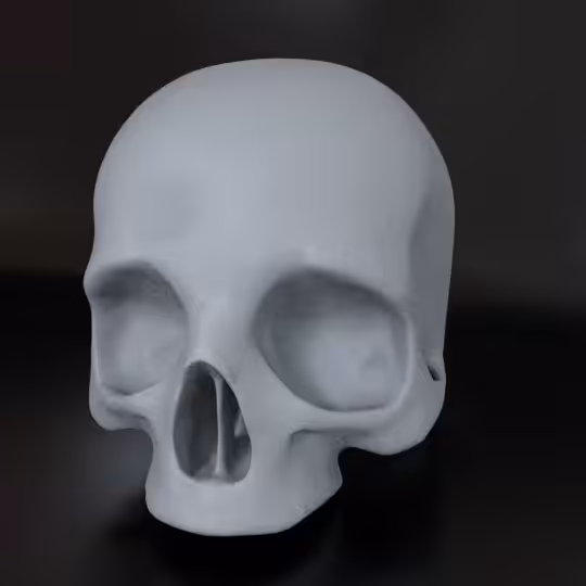SkullZ #120