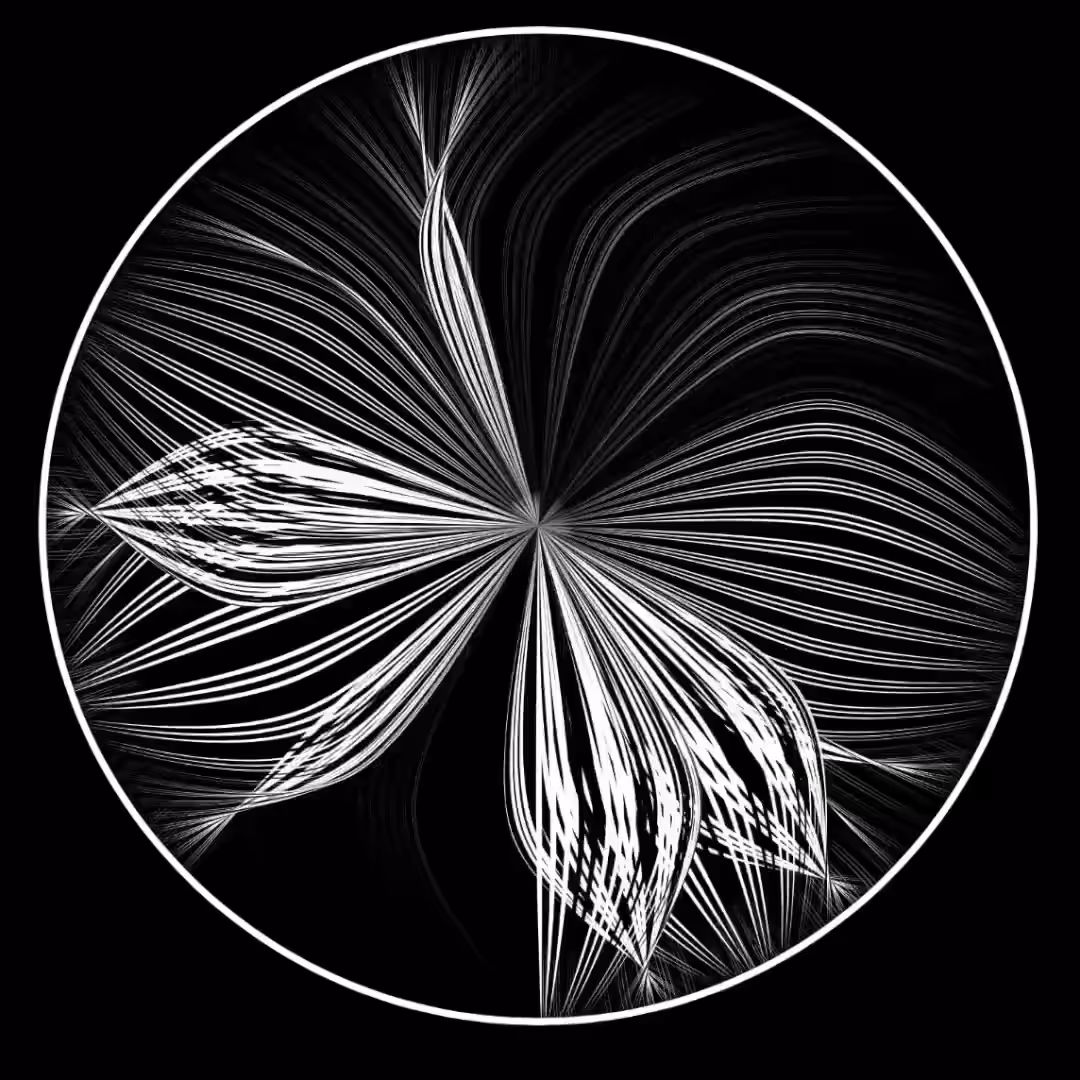 “Synchrony” - Shoaling