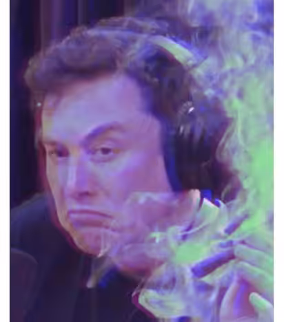 Elon Trap