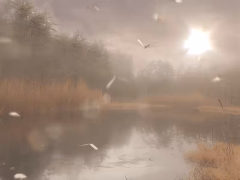 Misty morning