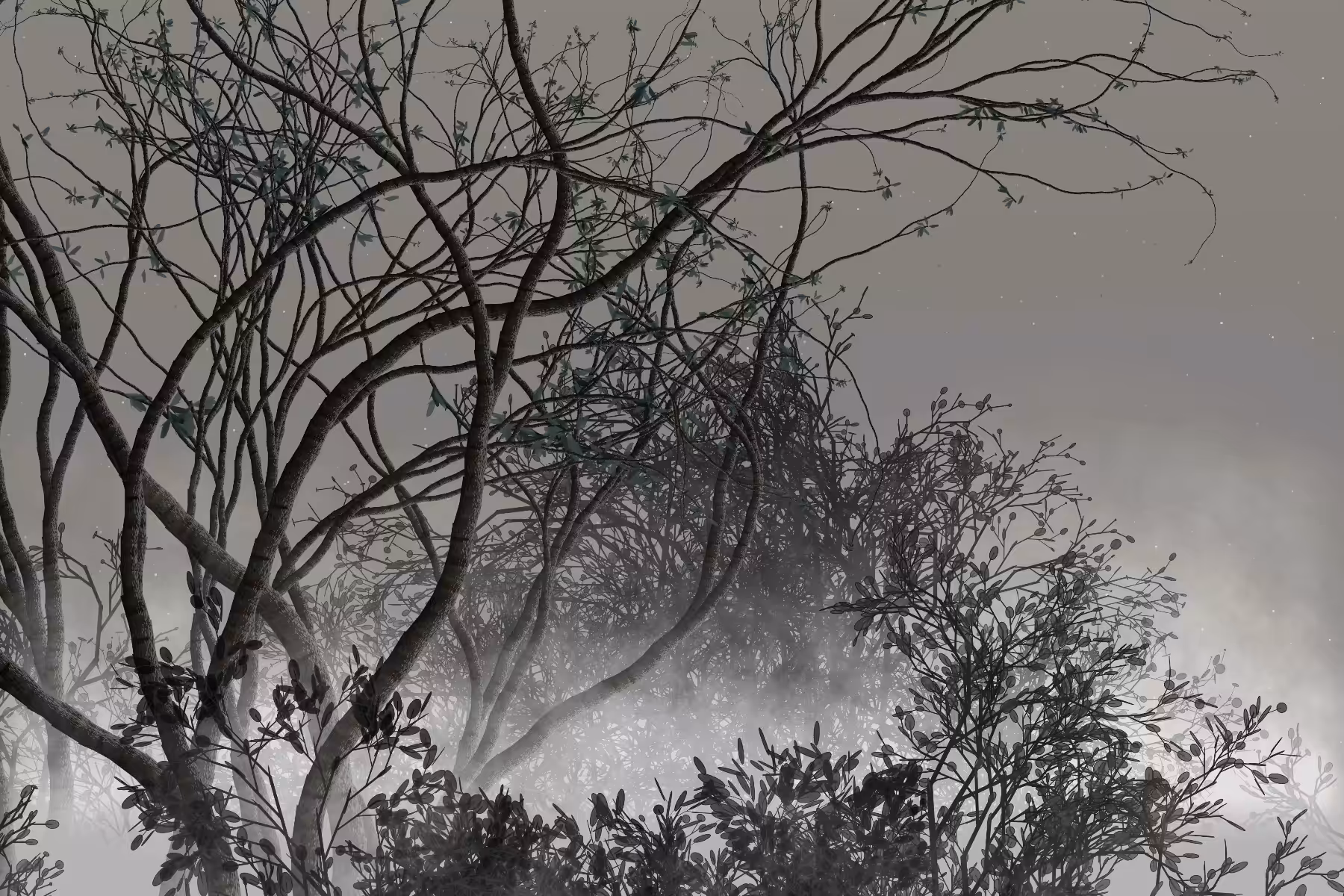 Morning Mist #223