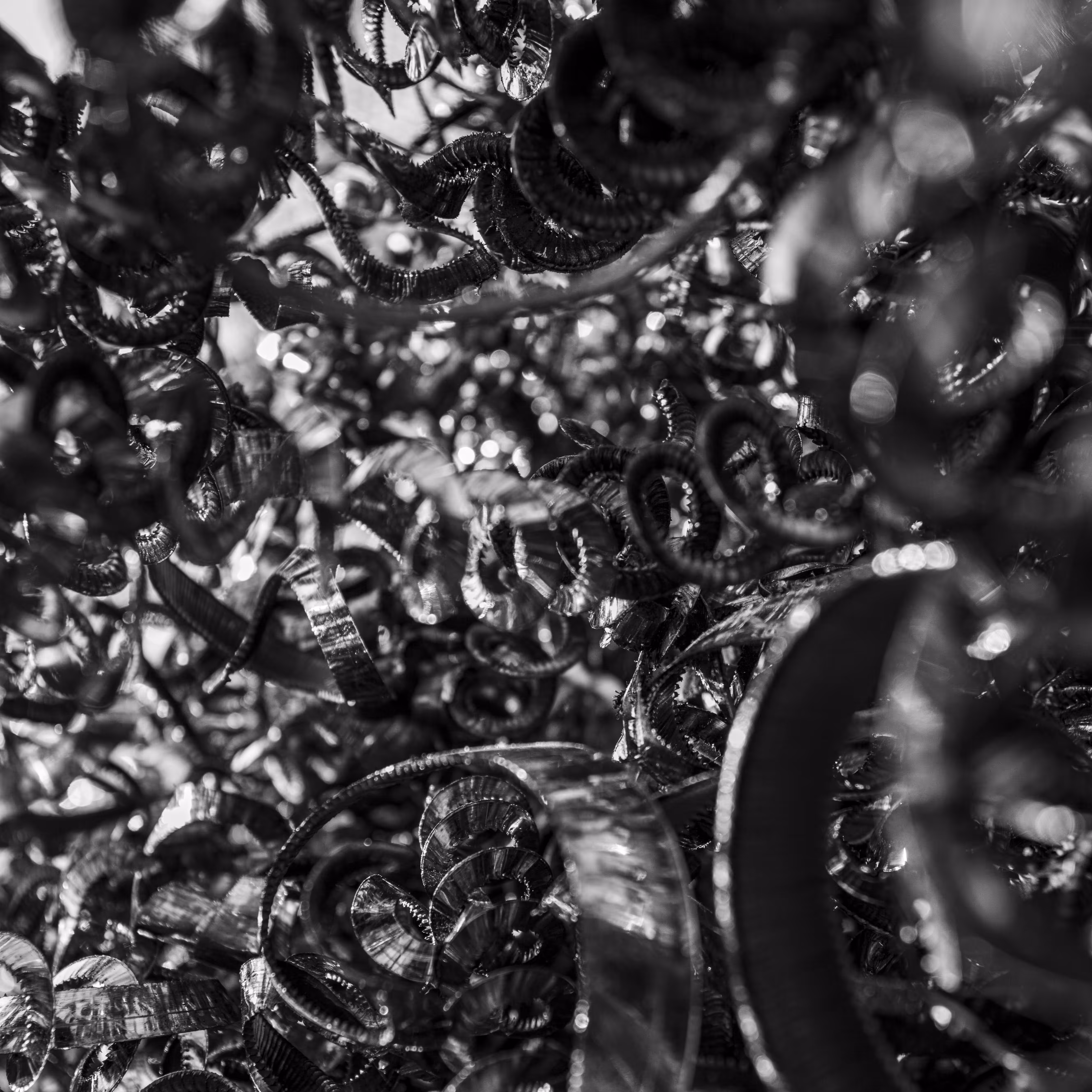 CACHIVACHES (monochrome): CACHIVACHES #27