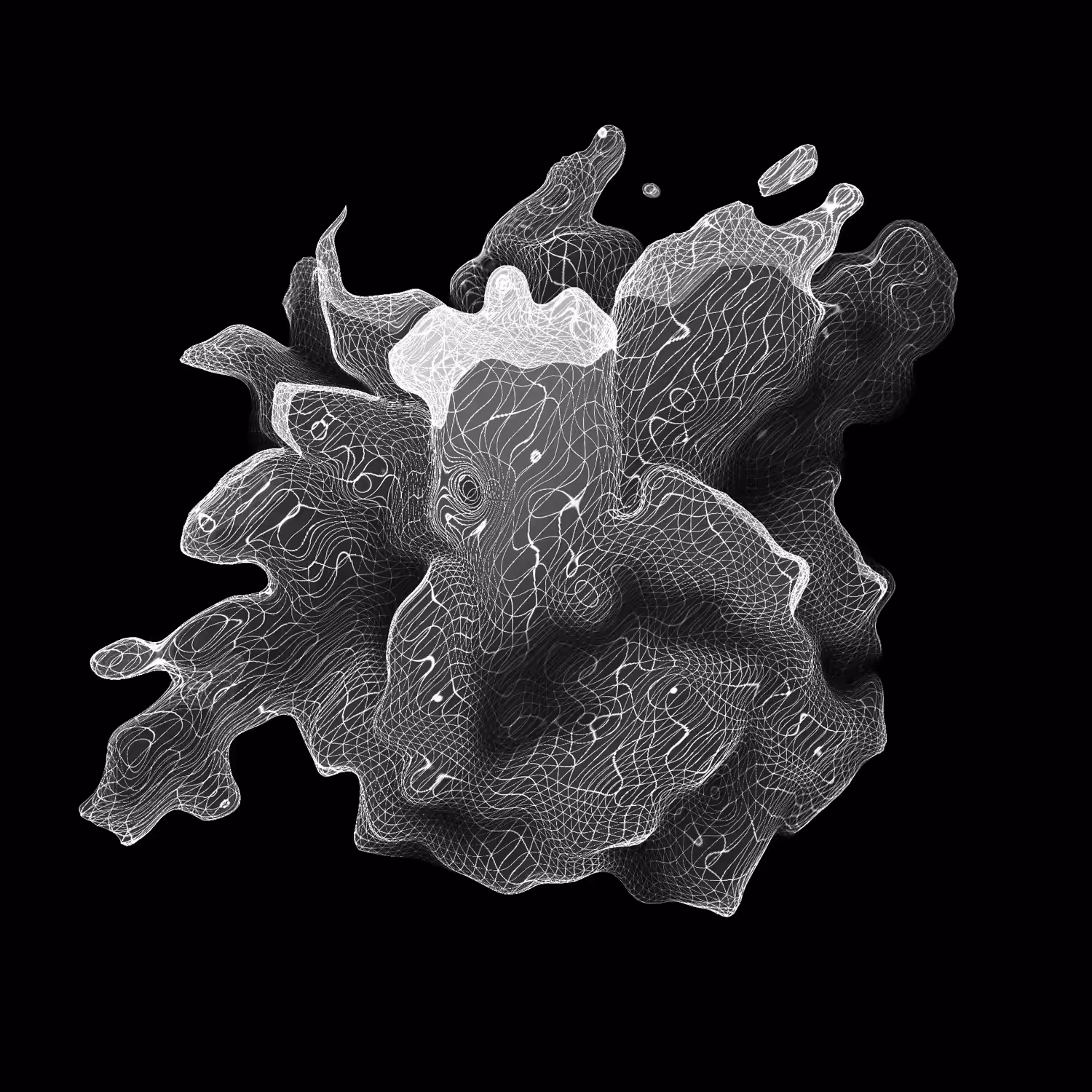 plasma cell