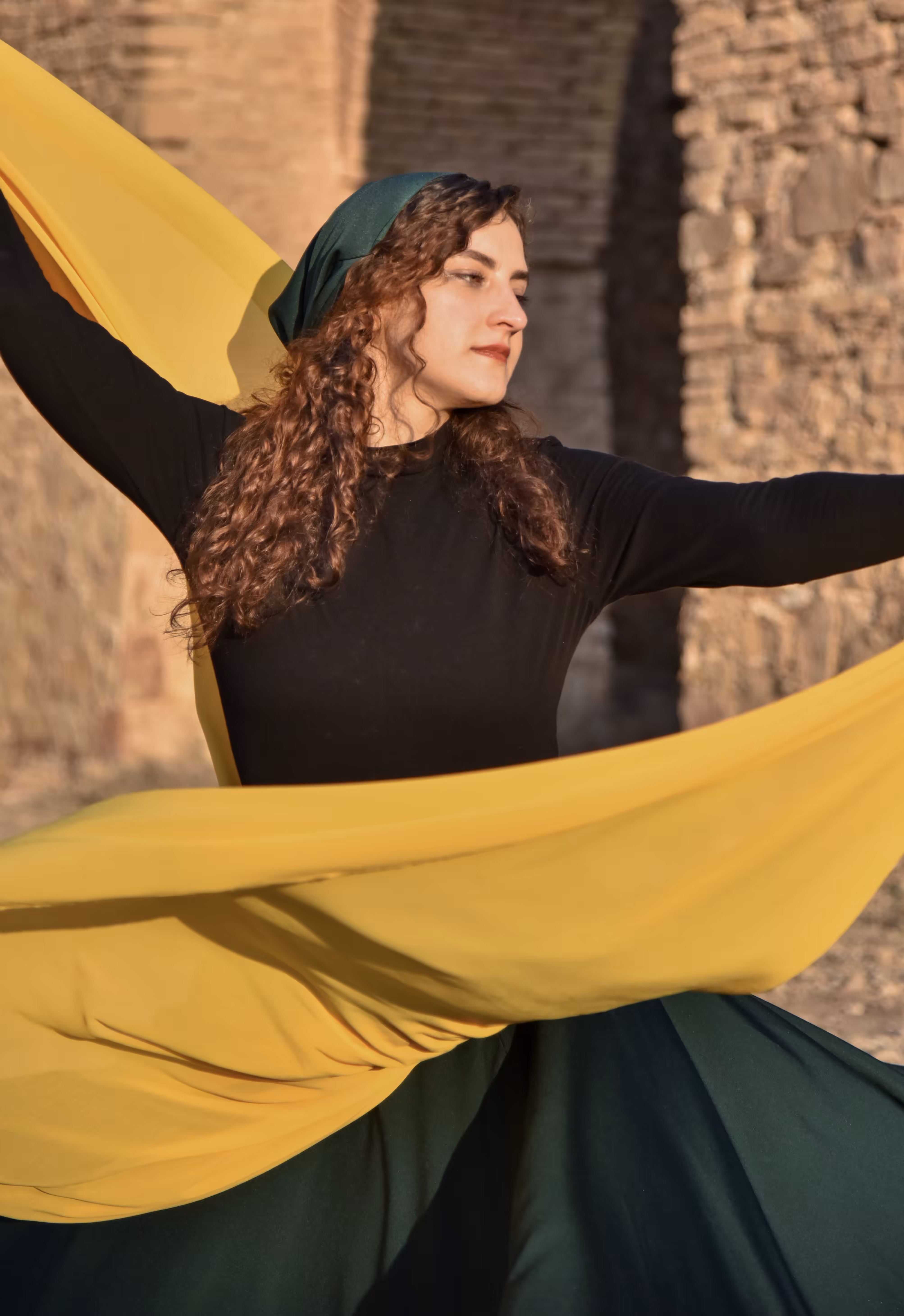 A Dance of Light and Color Beneath the Sun