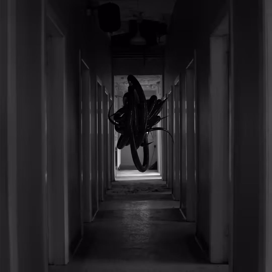 The Encounter