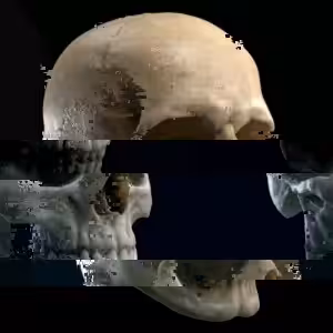Glitched Skull #015