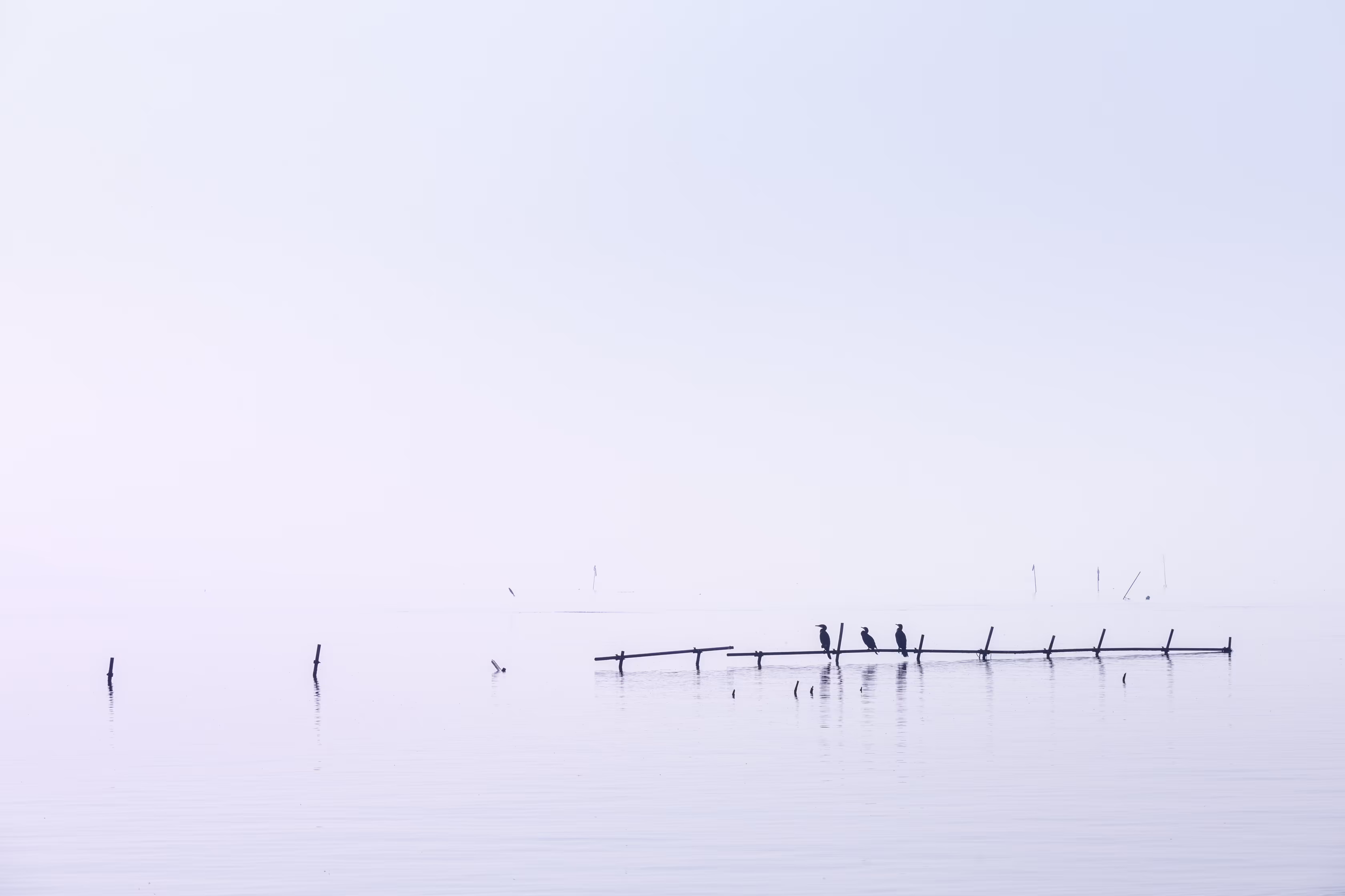 Spring Haze