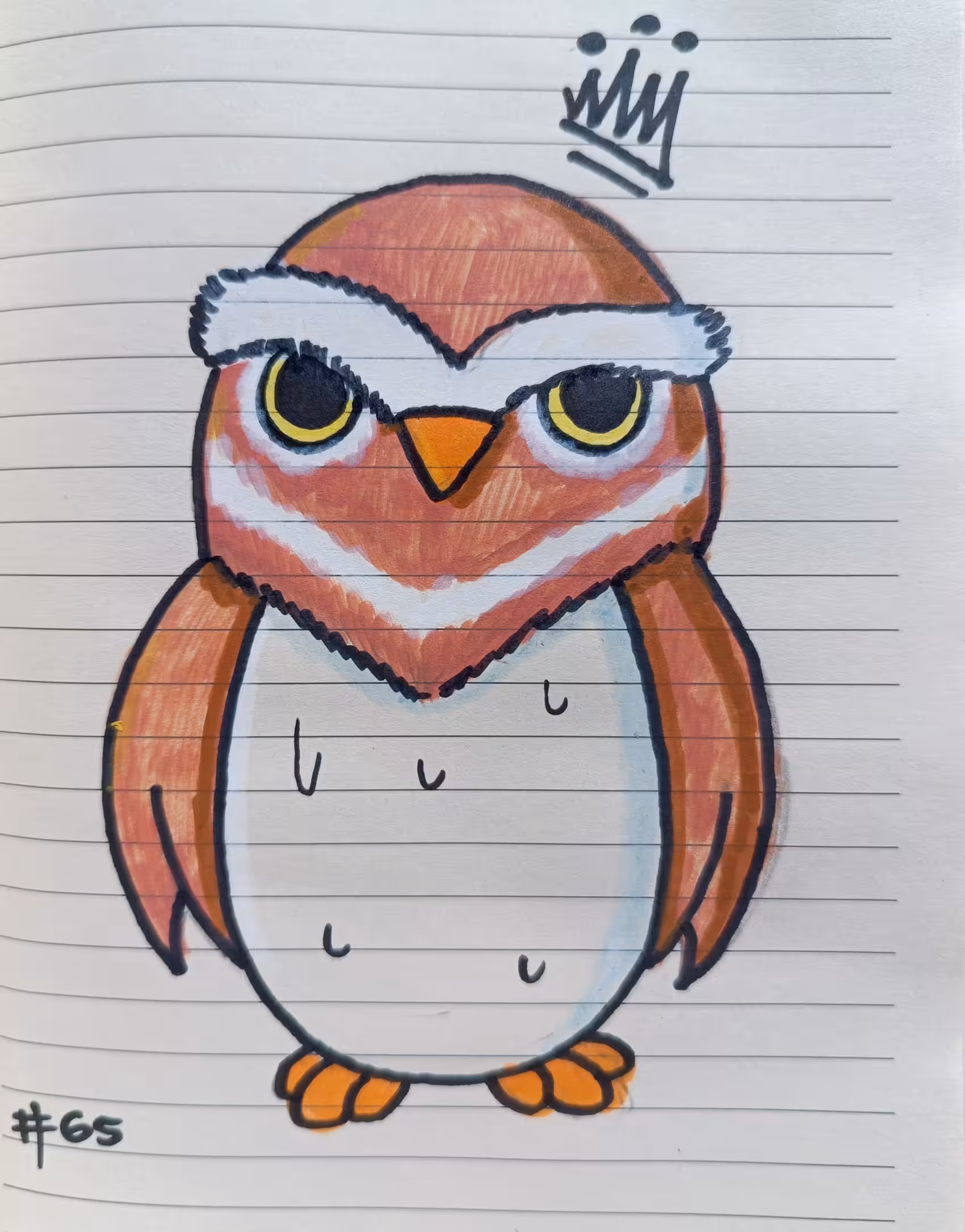 #65 Little owl