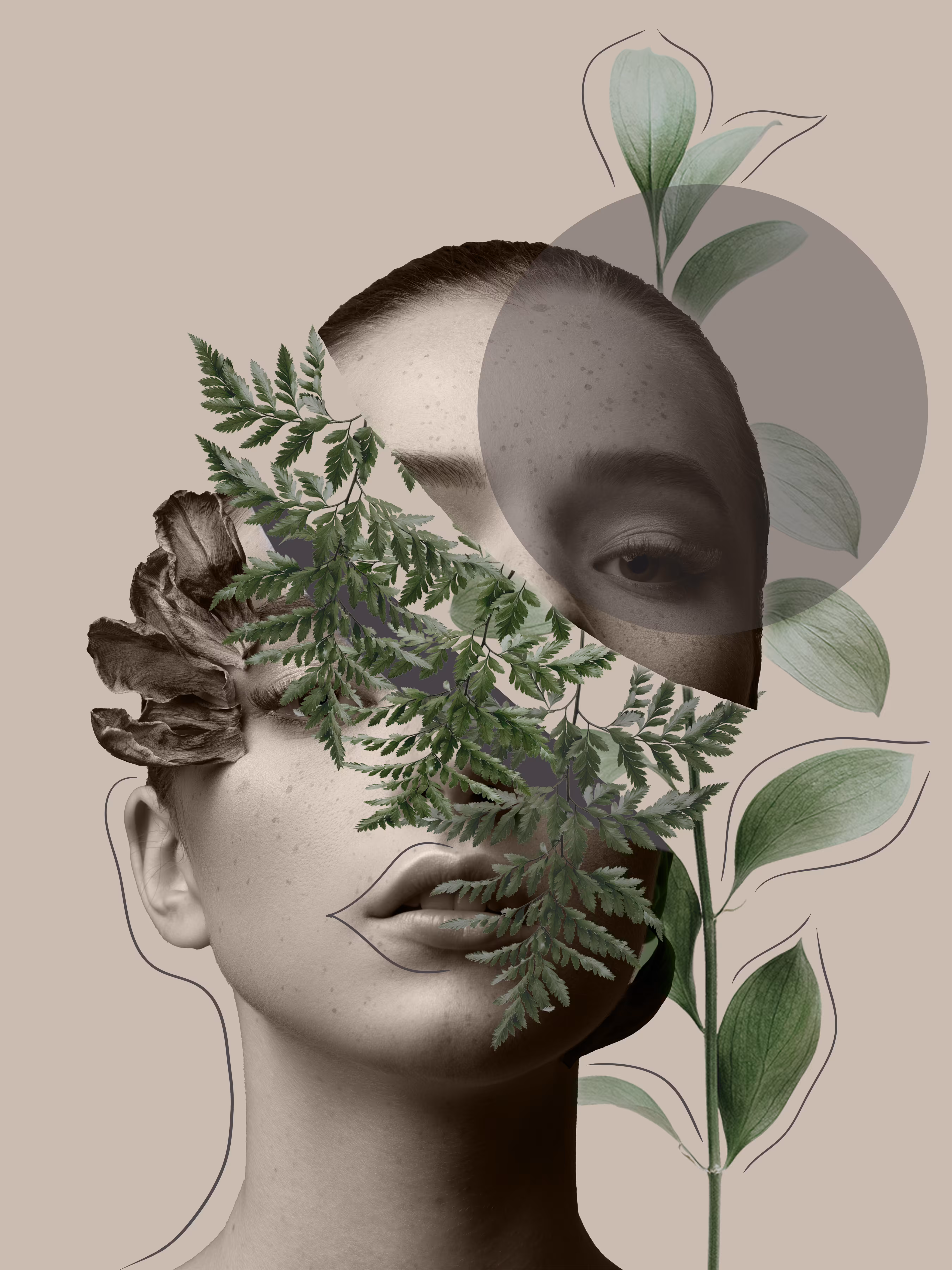 Lili Collection Creative Series (Part 2)