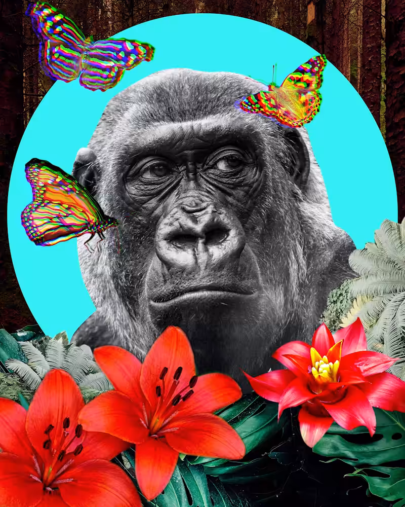 Smug ape
