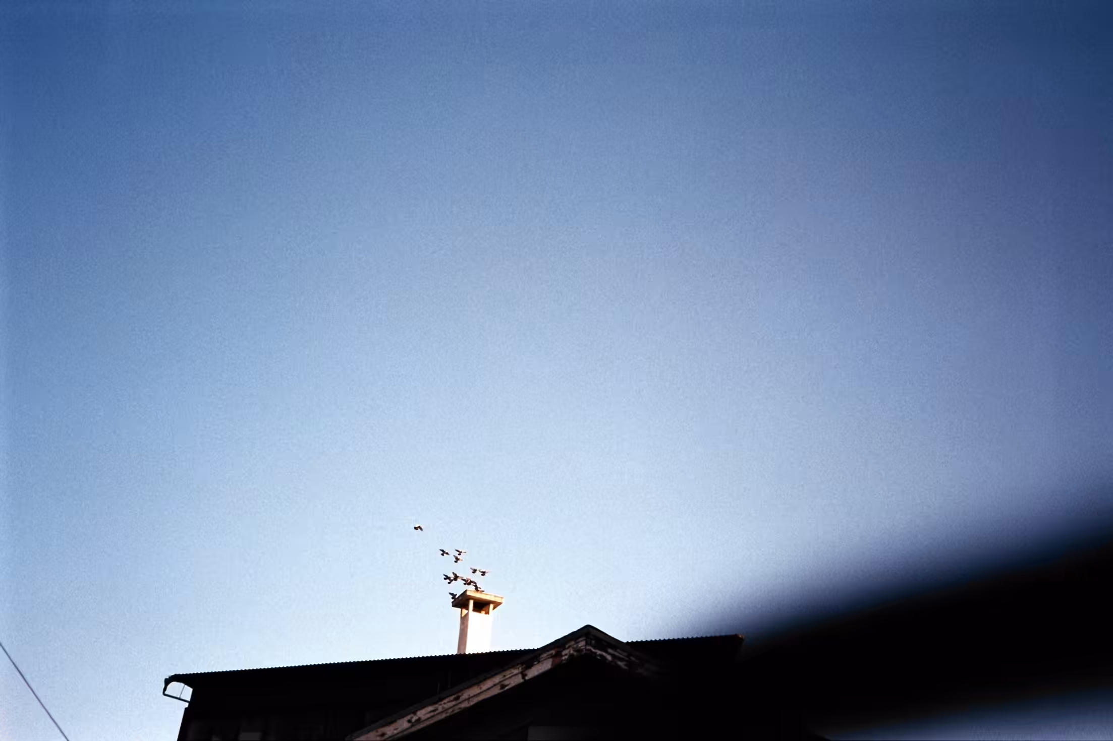 AAA005A - 35mm film scan from 2016