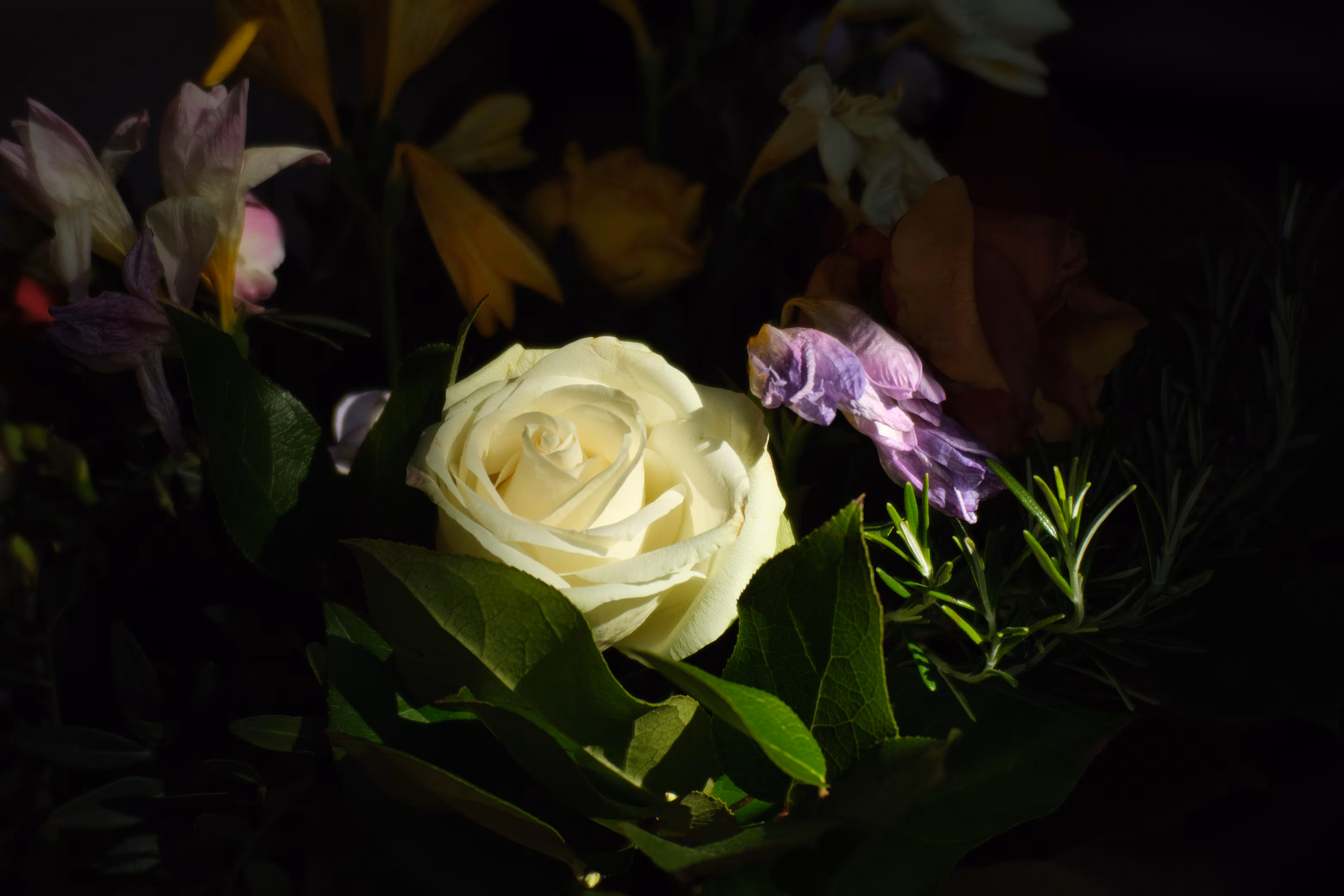 Flower Still 3