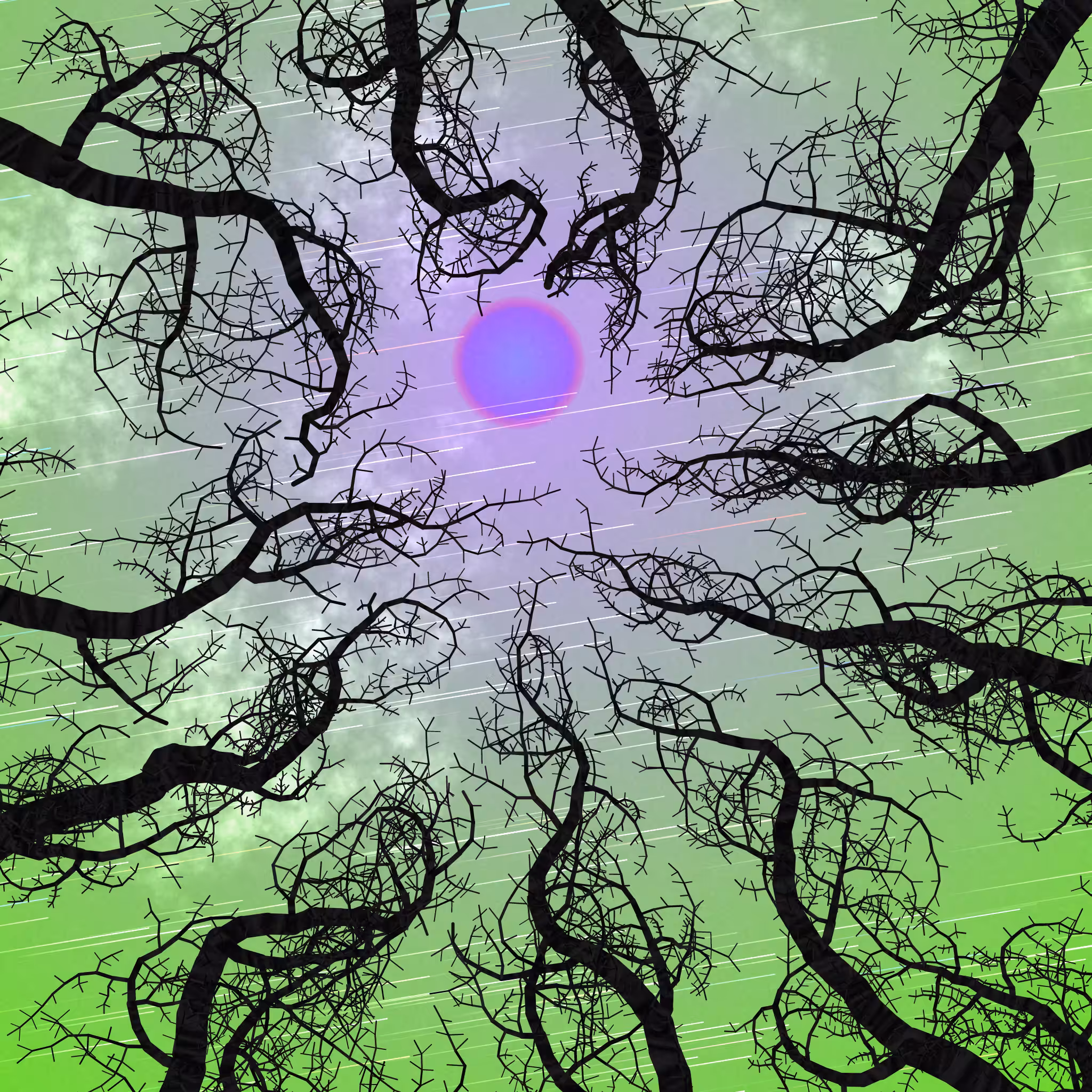 Tree Skyness #220
