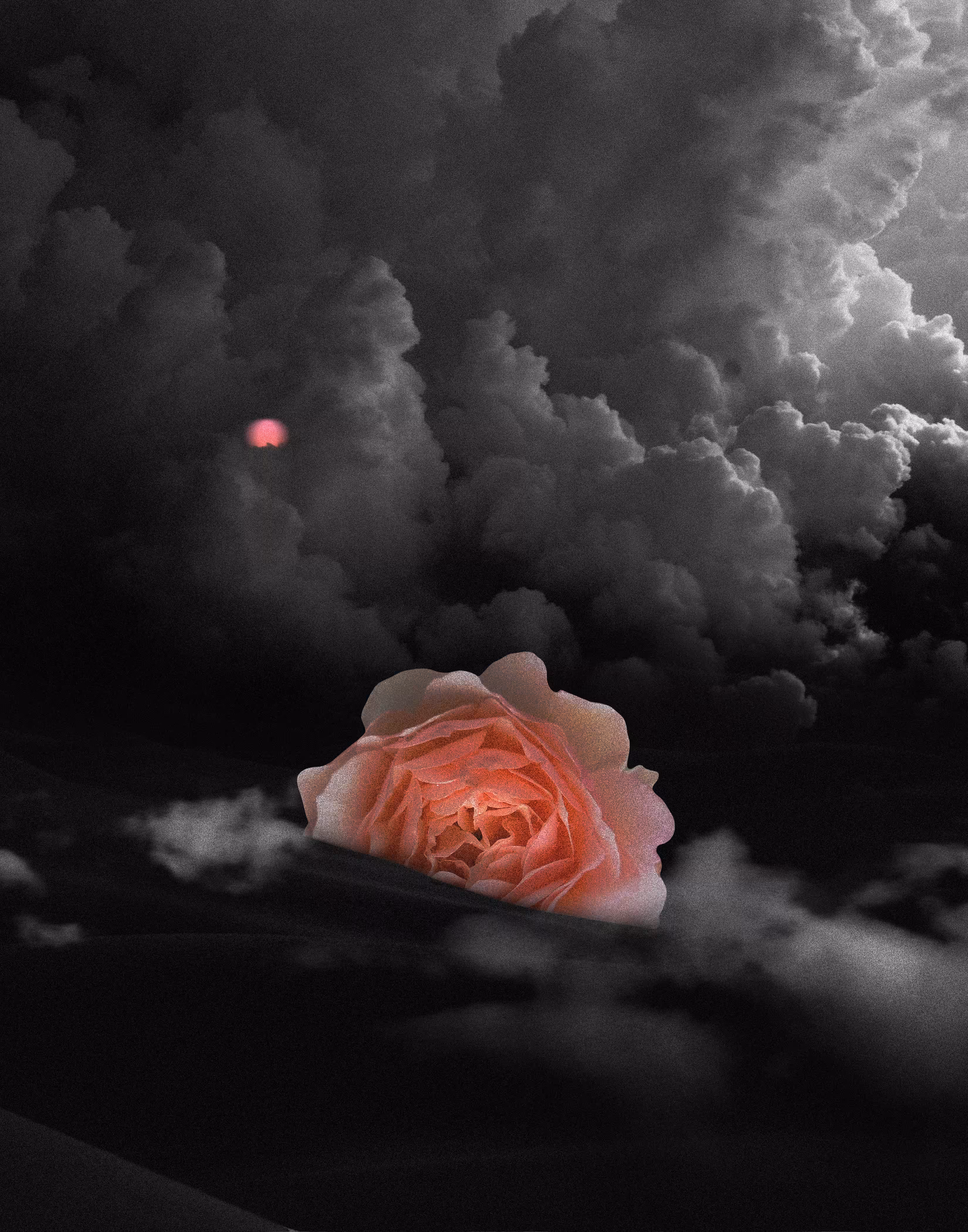 LIFE AFTER DEATH