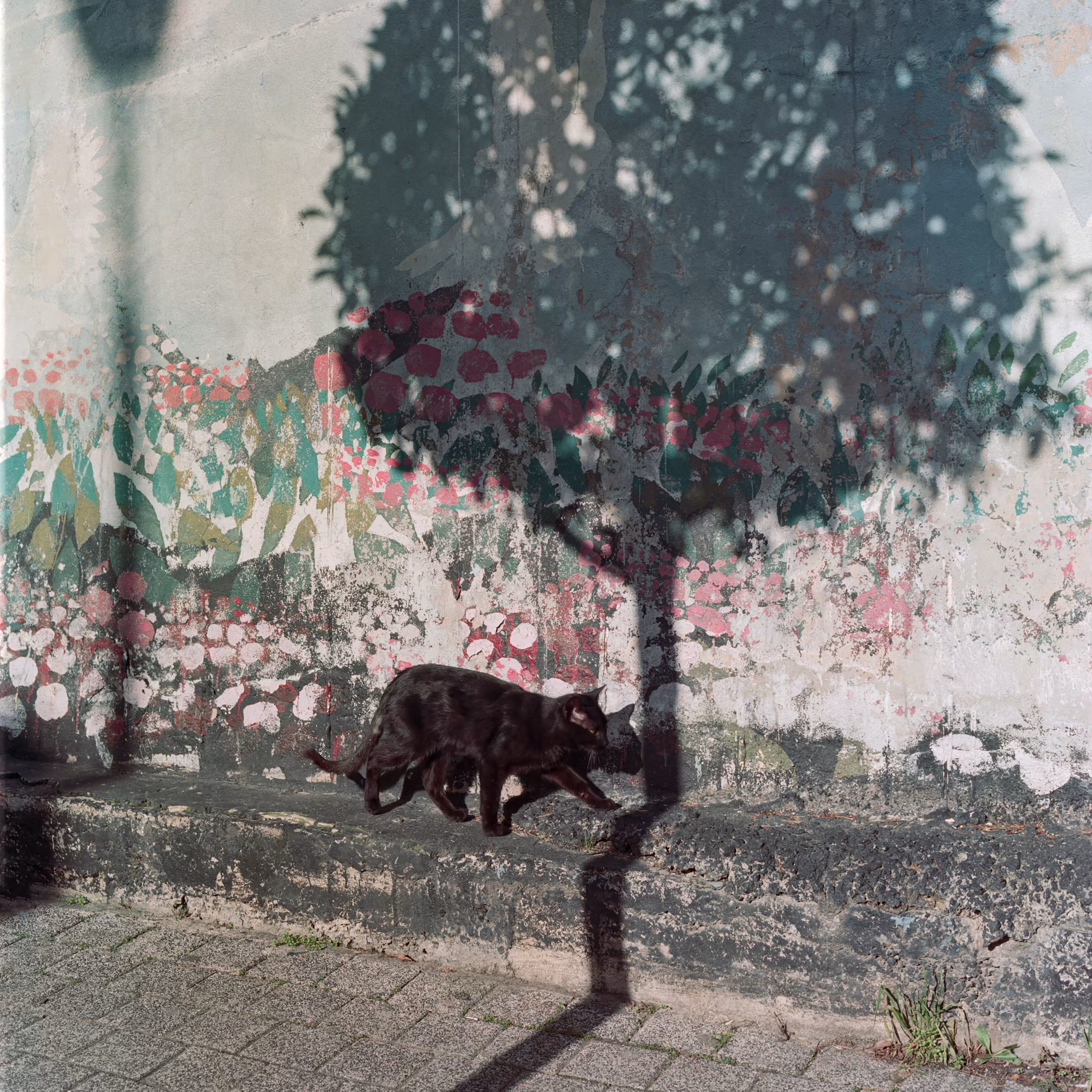 Transfiguration #41 by Sabiha Çimen