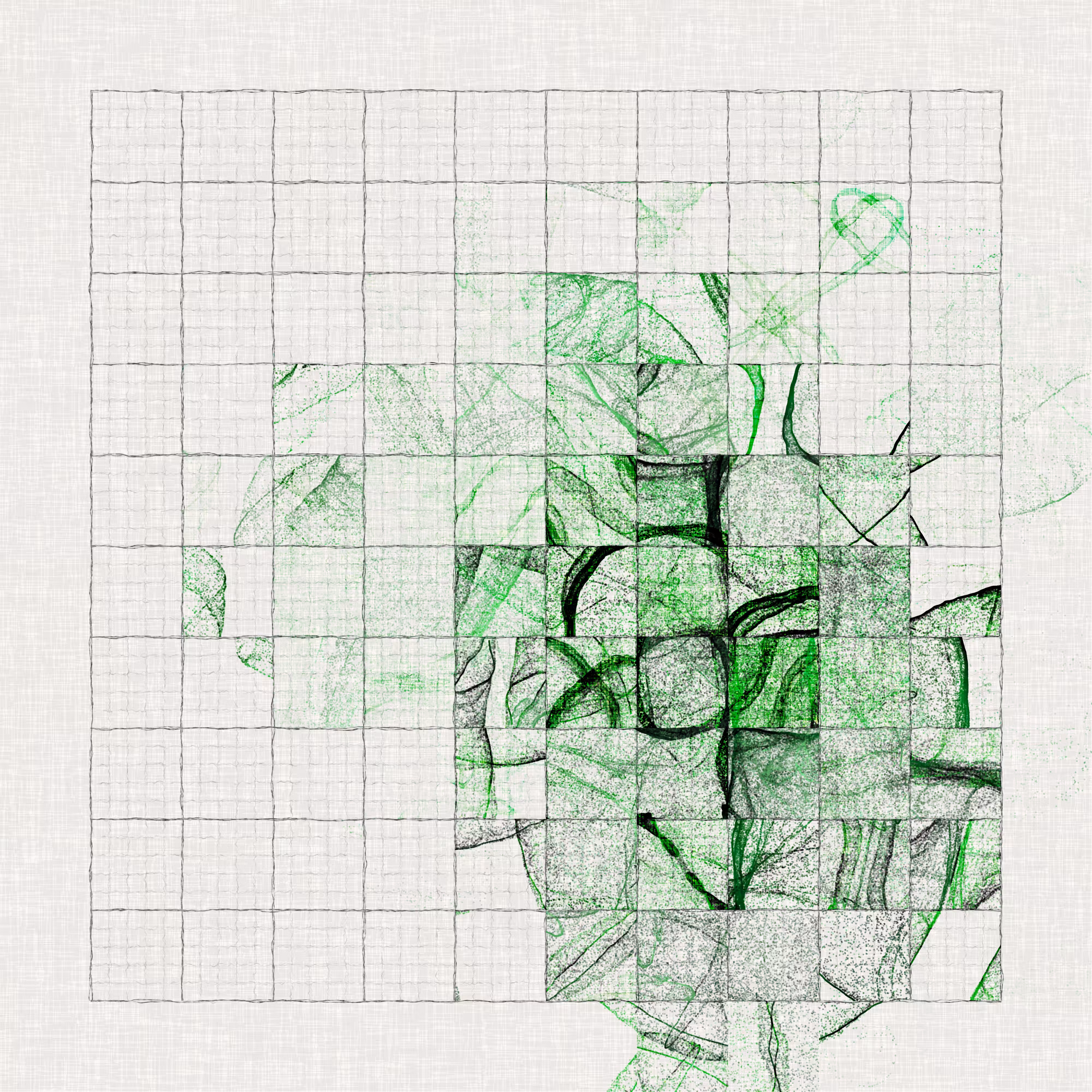 若竹-wakatake-