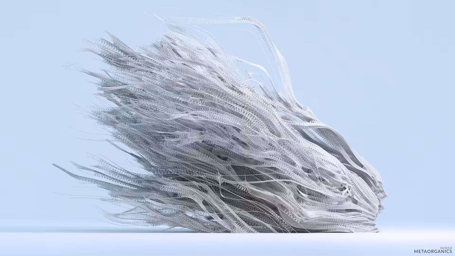 Skeletal_02