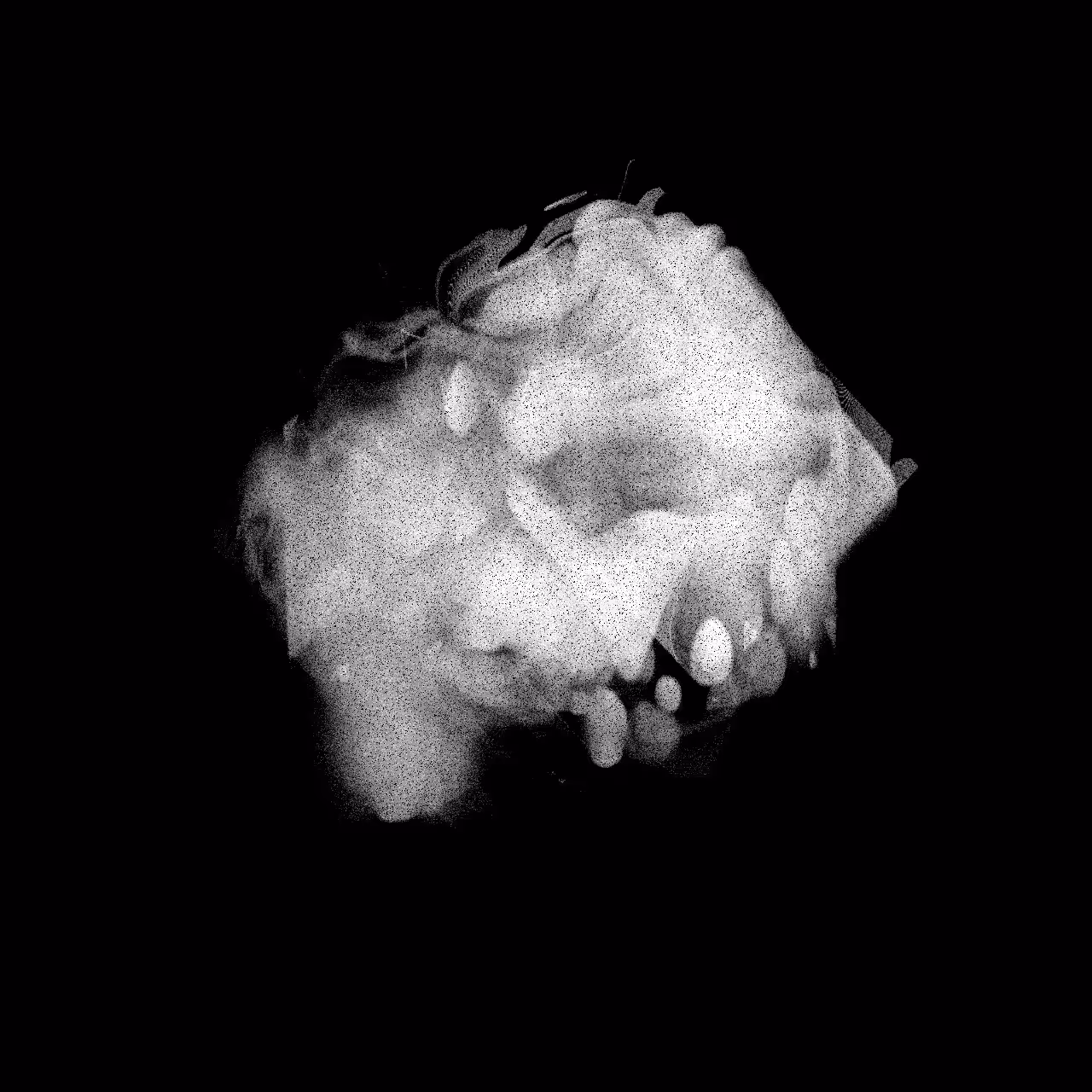 Ghost