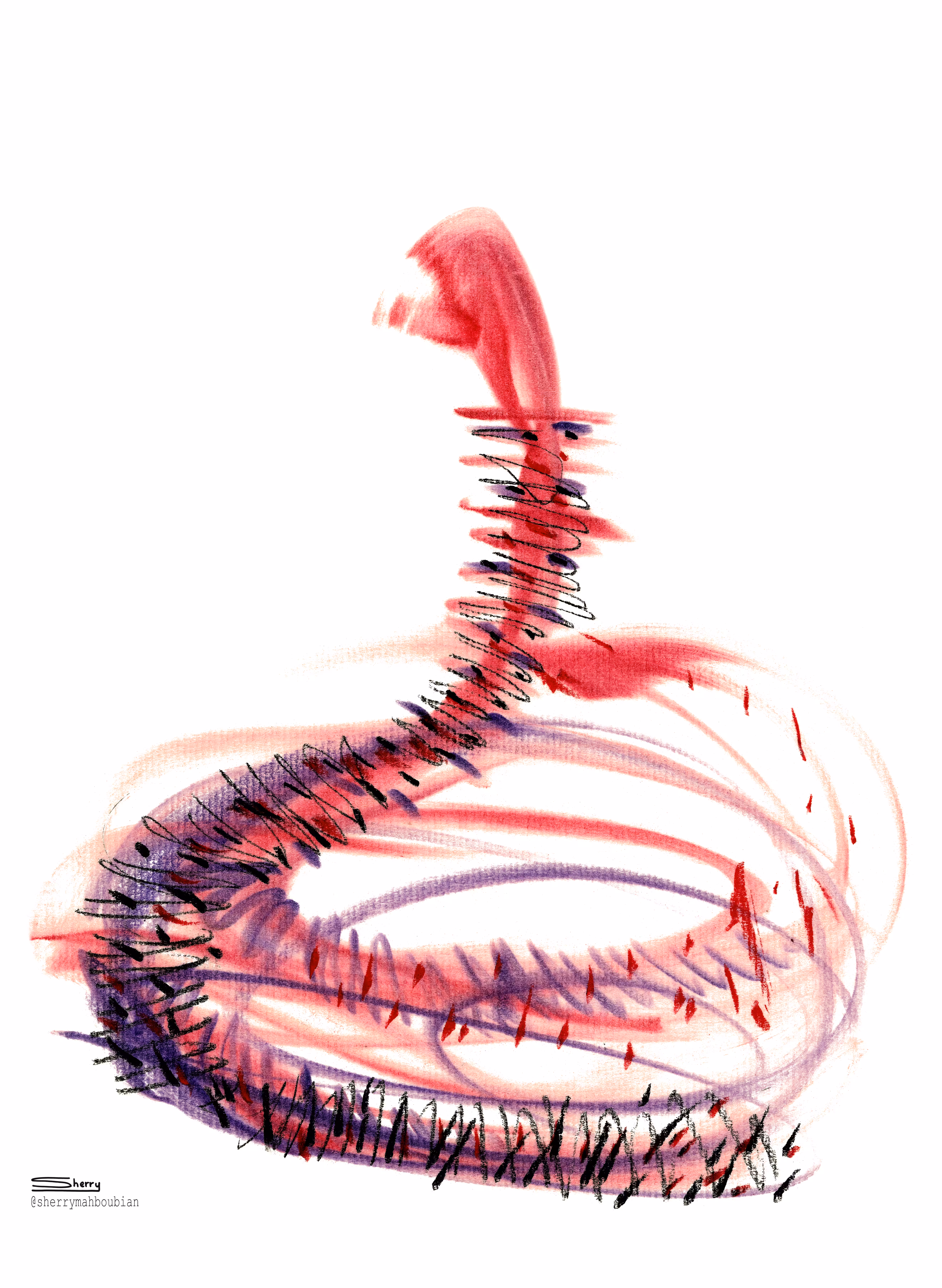 Undomesticateds' COVID-19 Verisimilitude