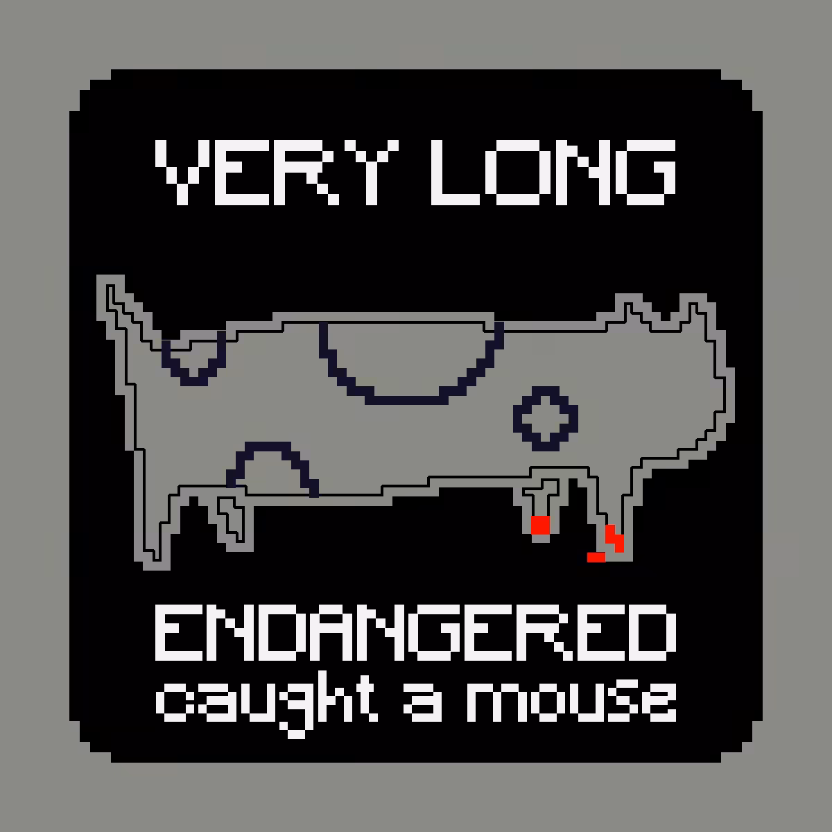 VERY LONG ENDANGERED CAT #16