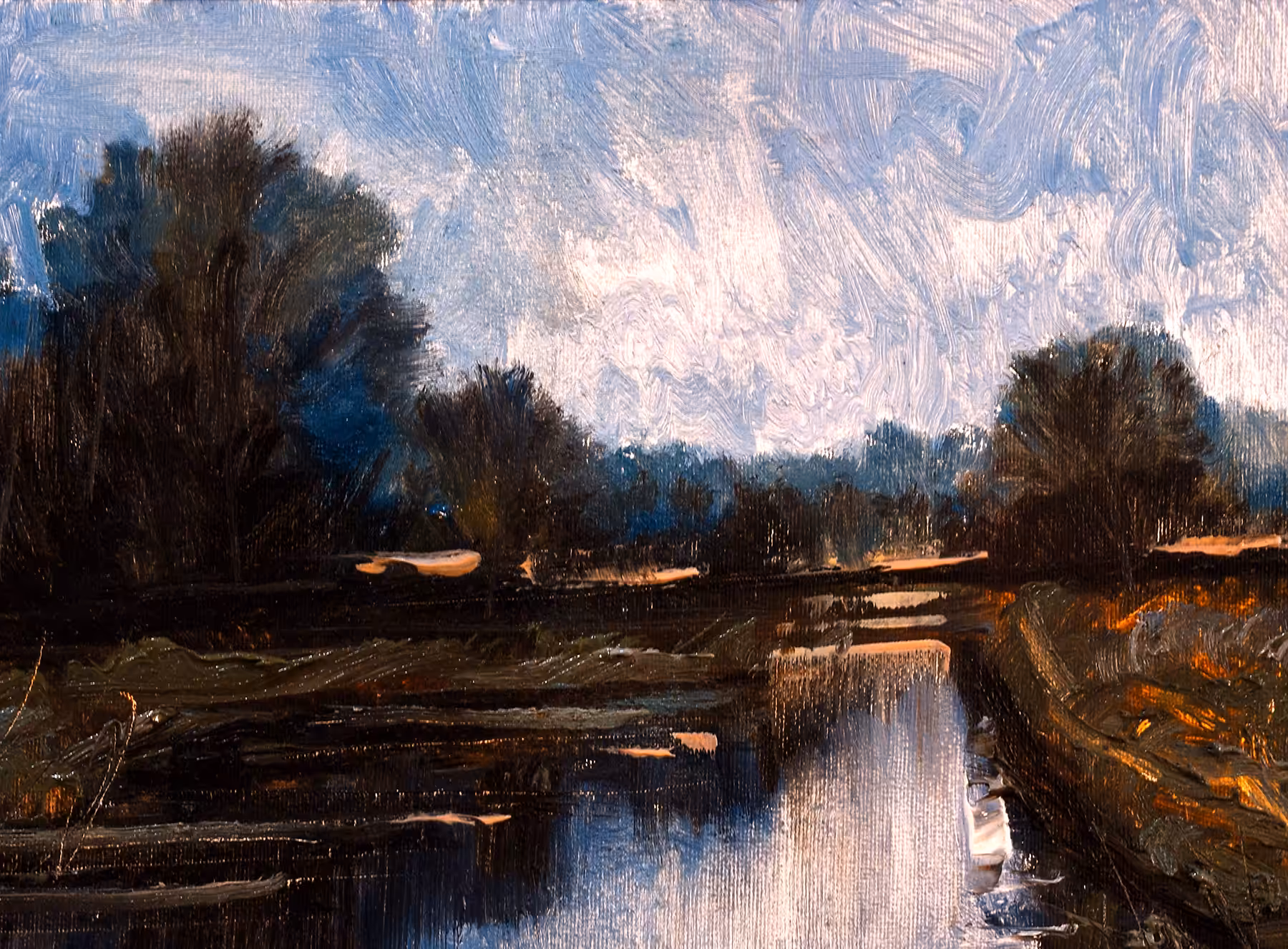 Swamp