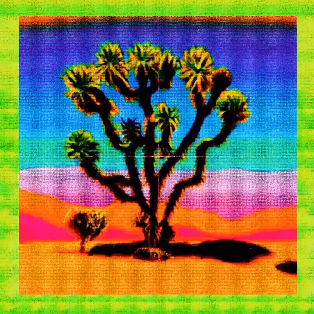 Arid Articulations #30