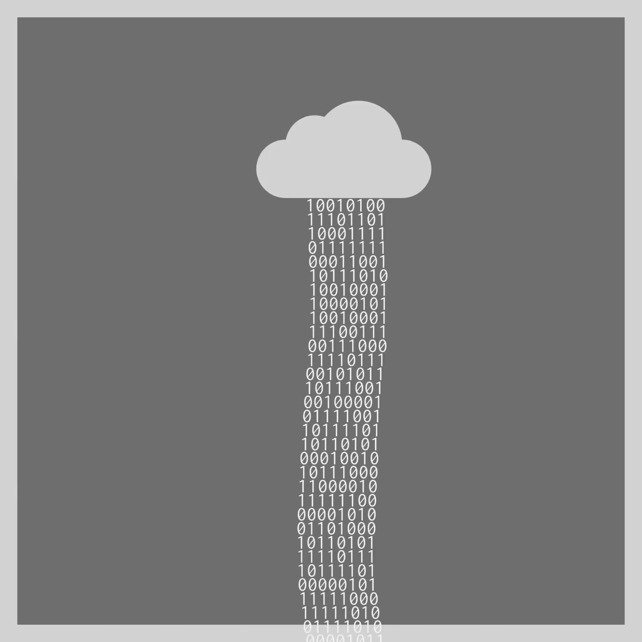 bit rain #59